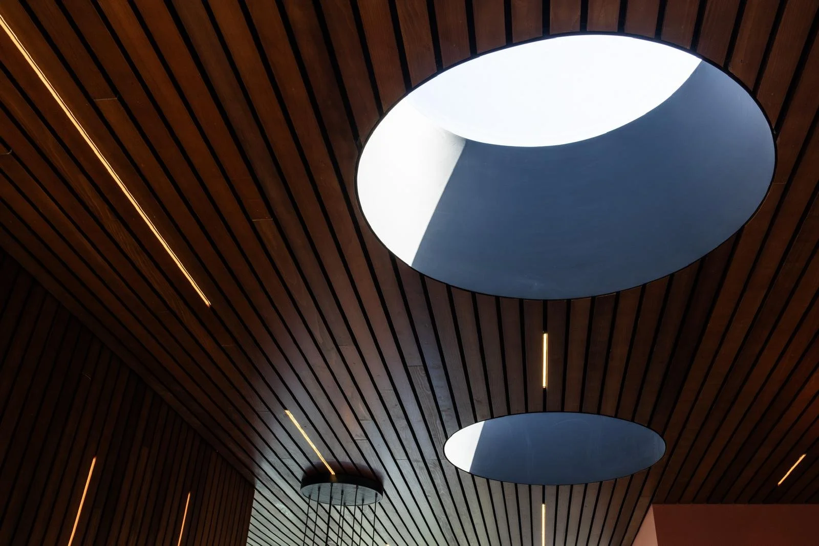 WhatsApp Image 2025-01-05 at 17.49.19 (4).jpeg