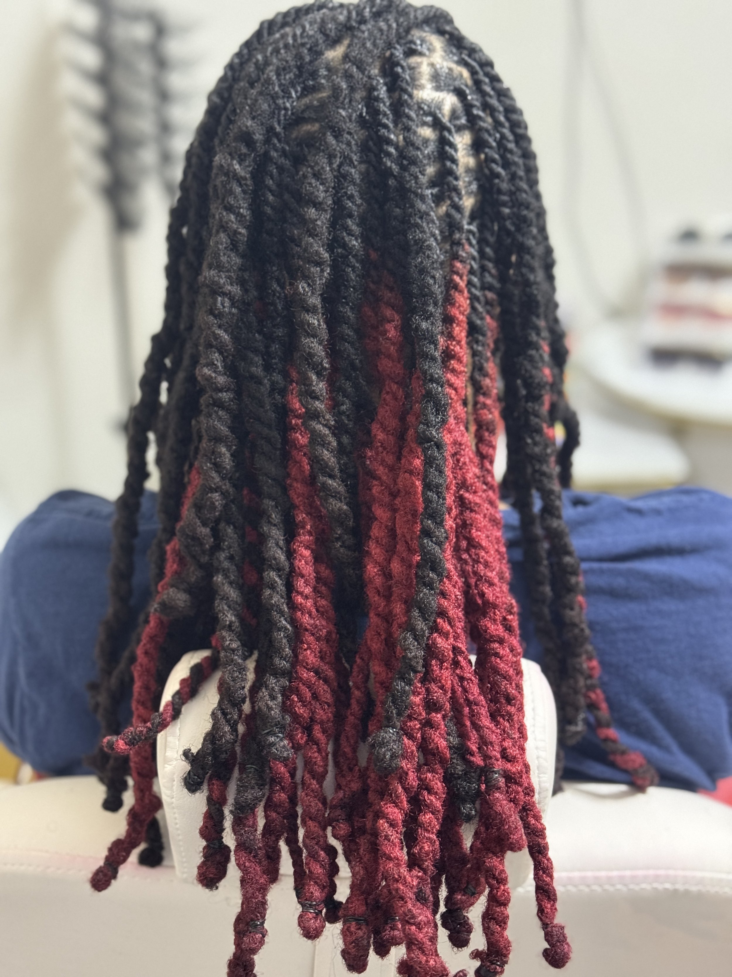Loc Re-twist & 2 Strand Twist (back)