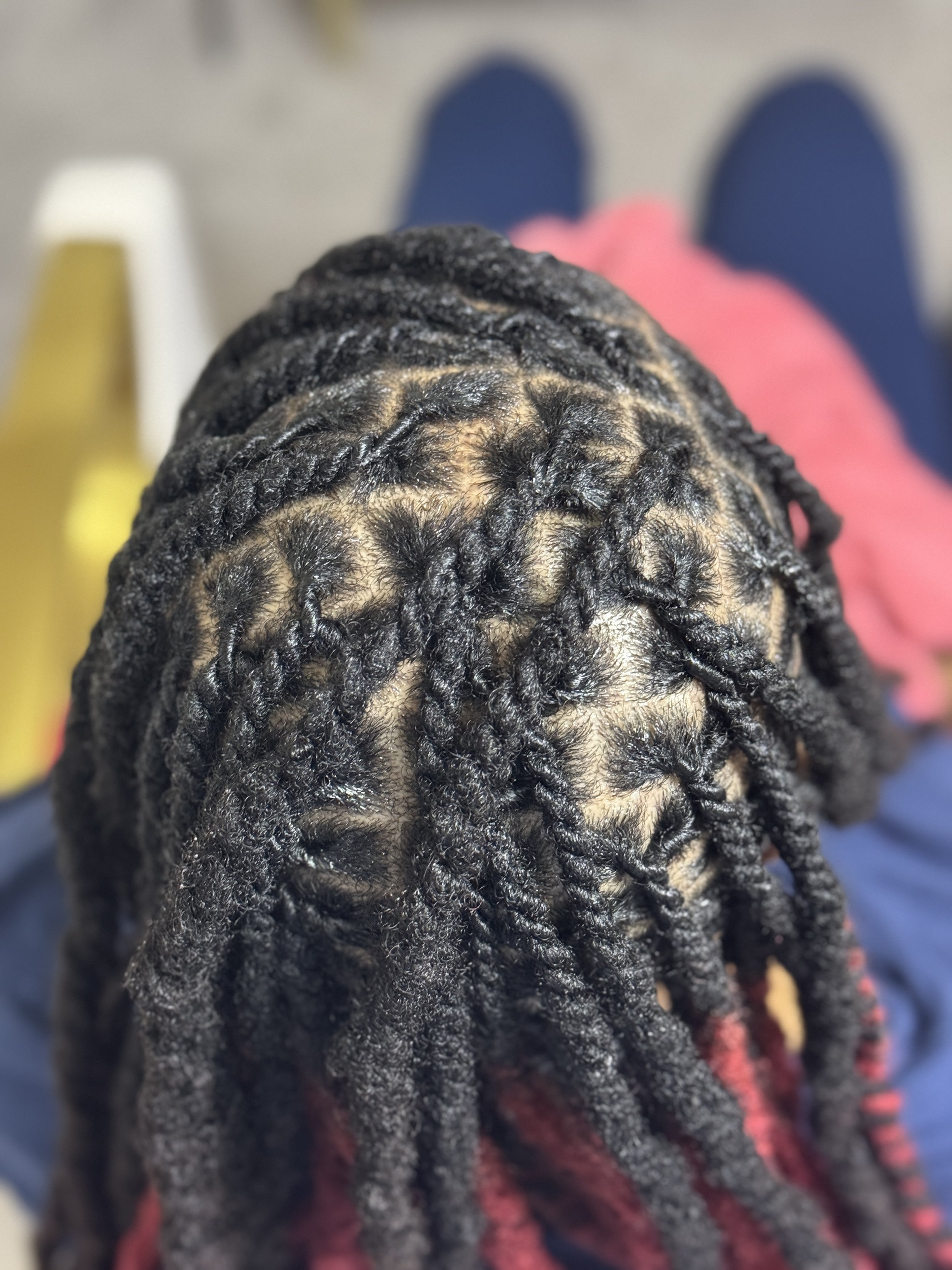 Loc Re-twist & 2 Strand Twist (top)