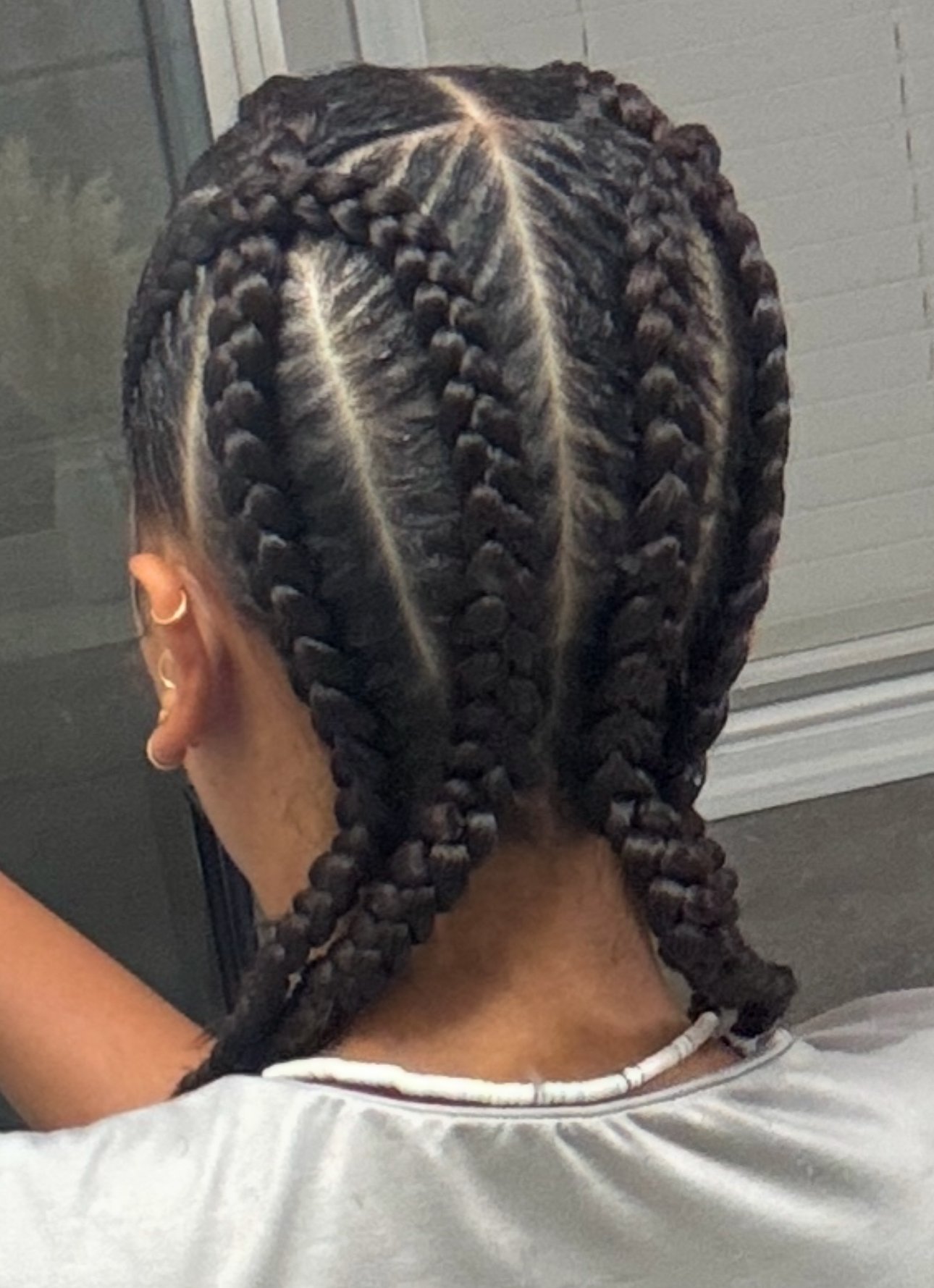 4 Feed-In Corn Rolls (back)