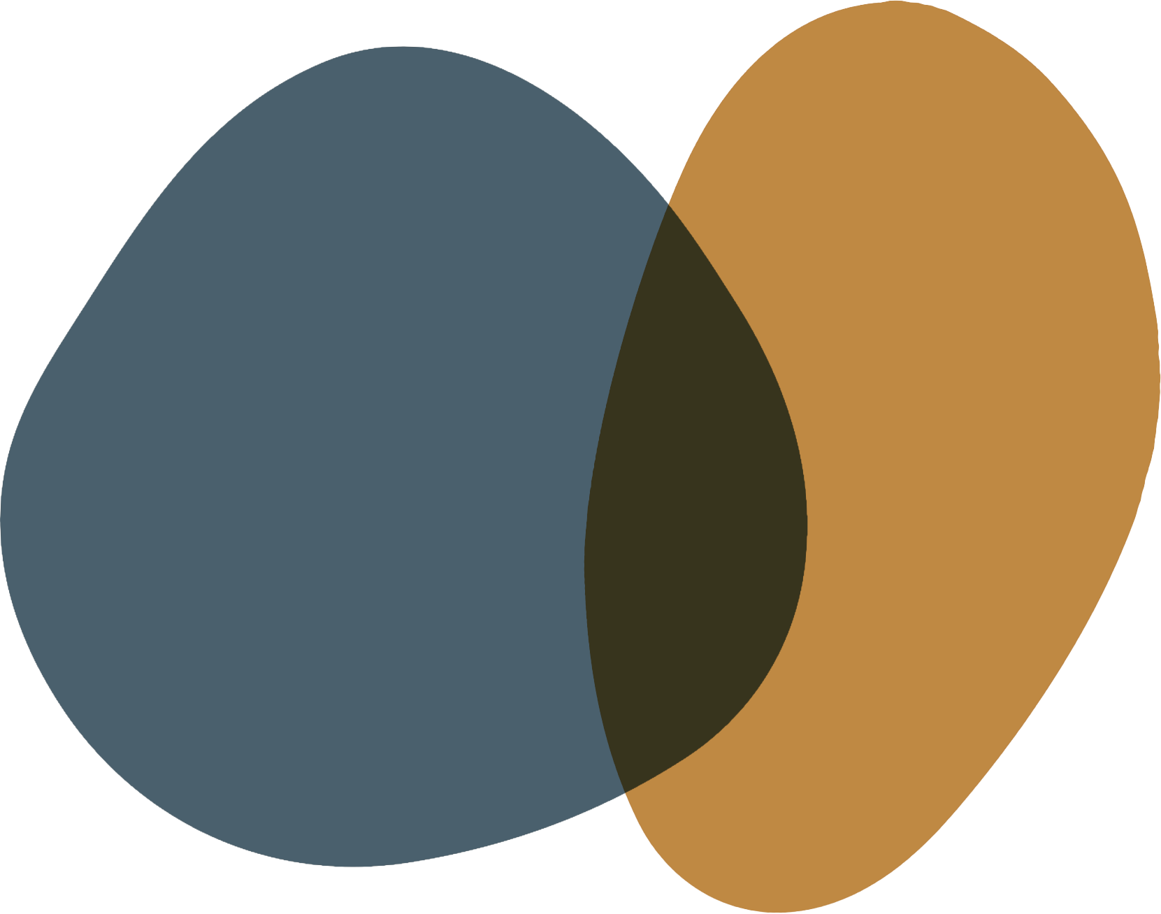 Grounded Practice Therapy in Vancouver, BC — Abstract brand shapes representing Narrative and Mindfulness-based care.