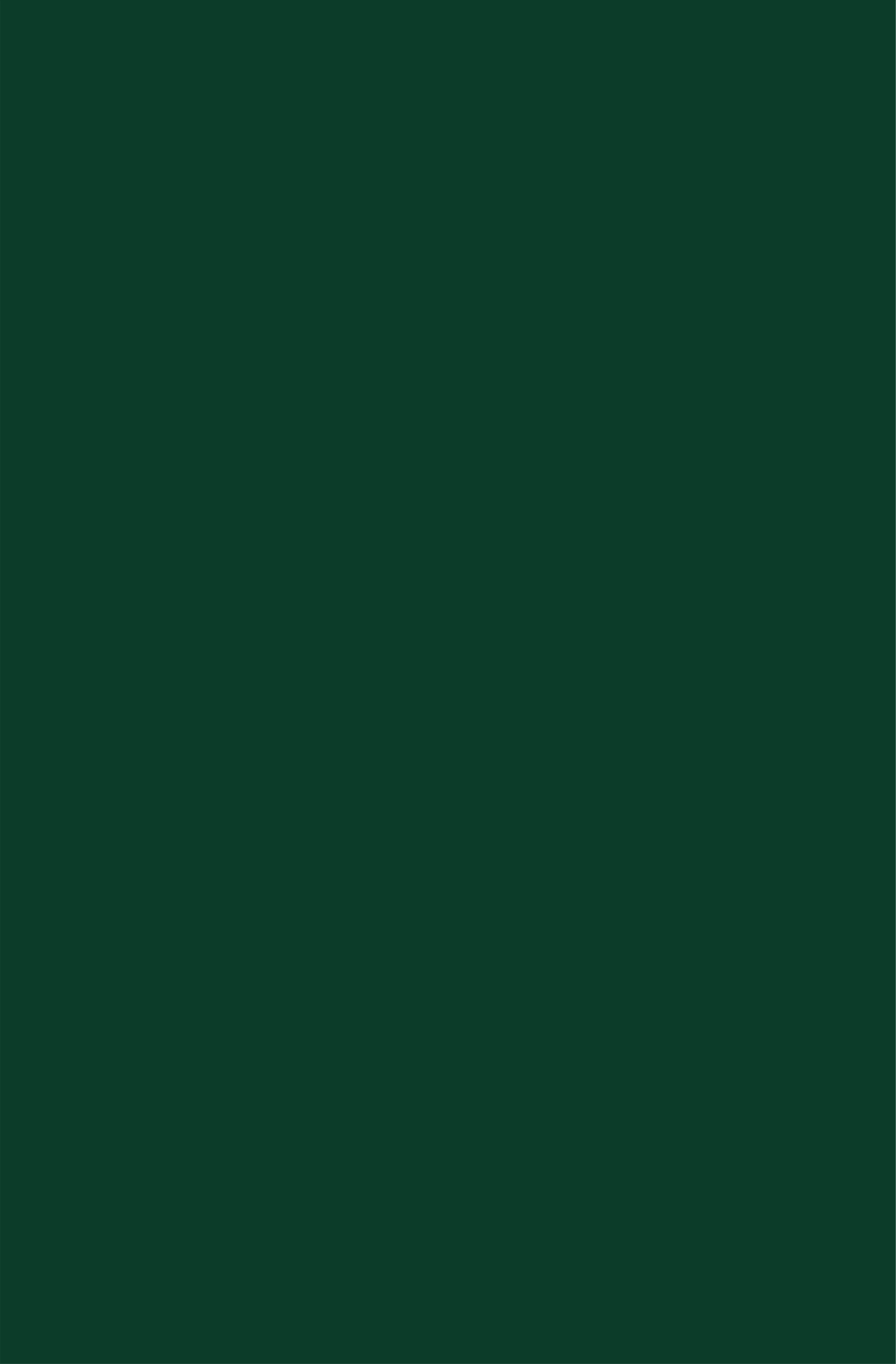 Forest Green - Orman Yeşili renk.png