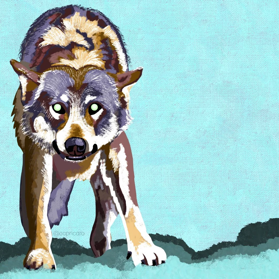"Howl" Photoshop Digital Painting