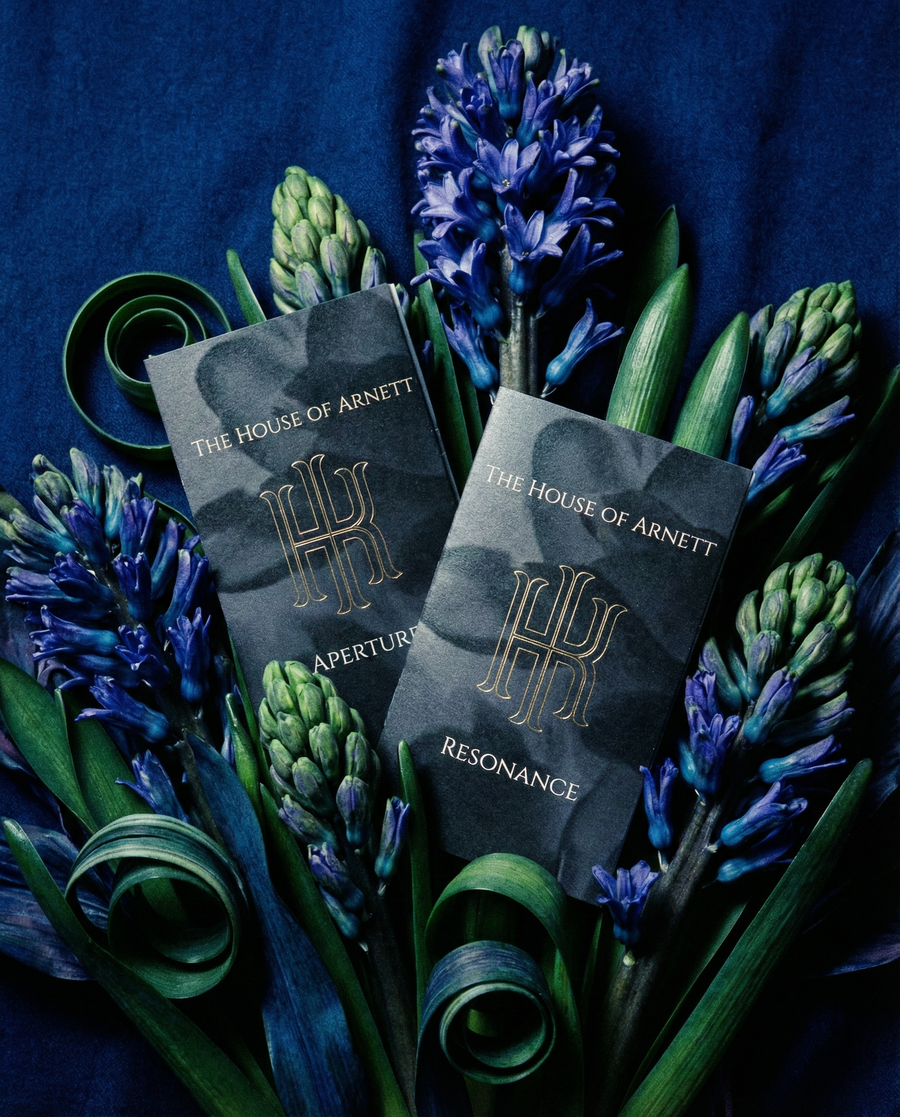 The House of Arnett - Discovery set