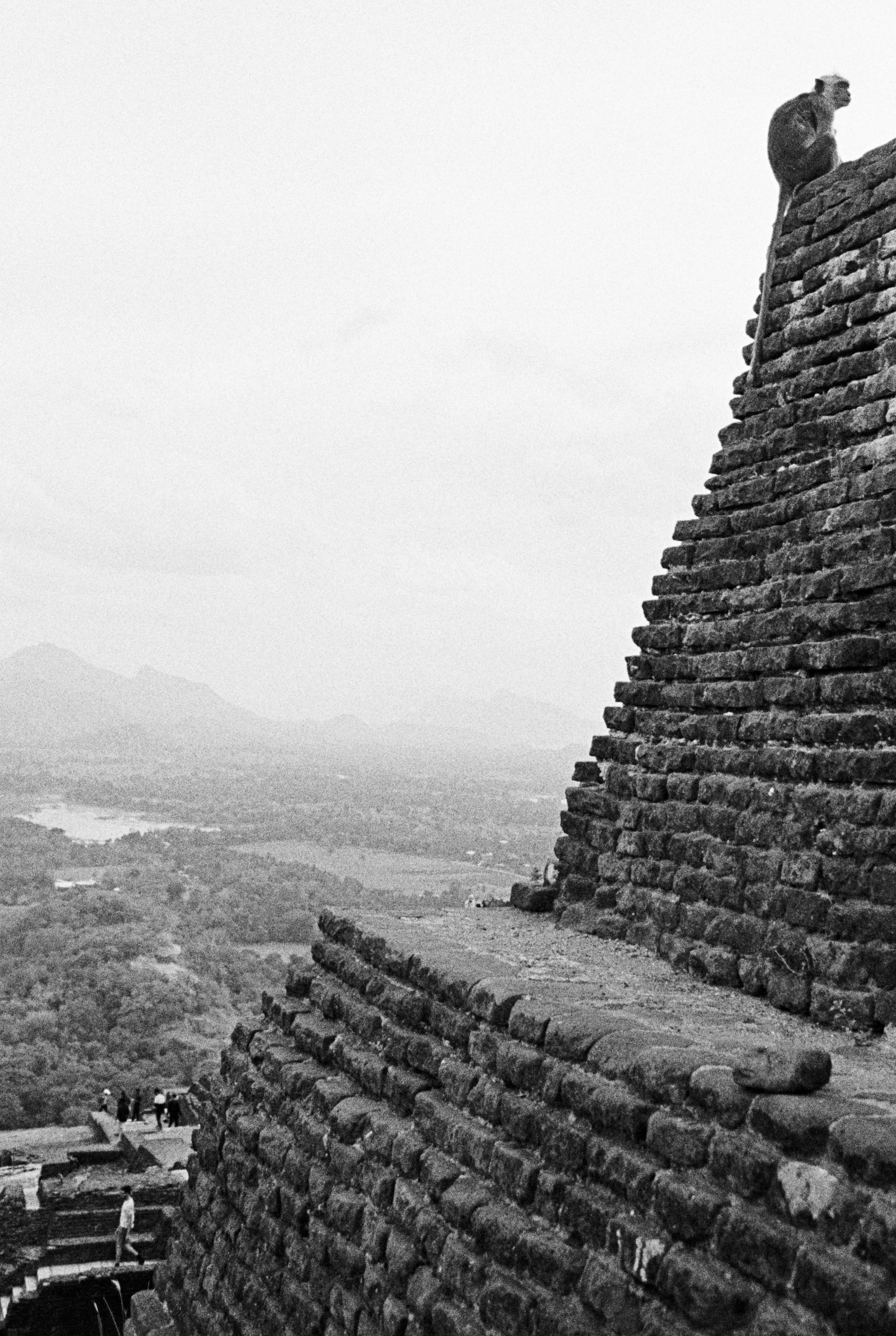 SriLanka TriX #6Srilanka 2025  (20)-3.jpg