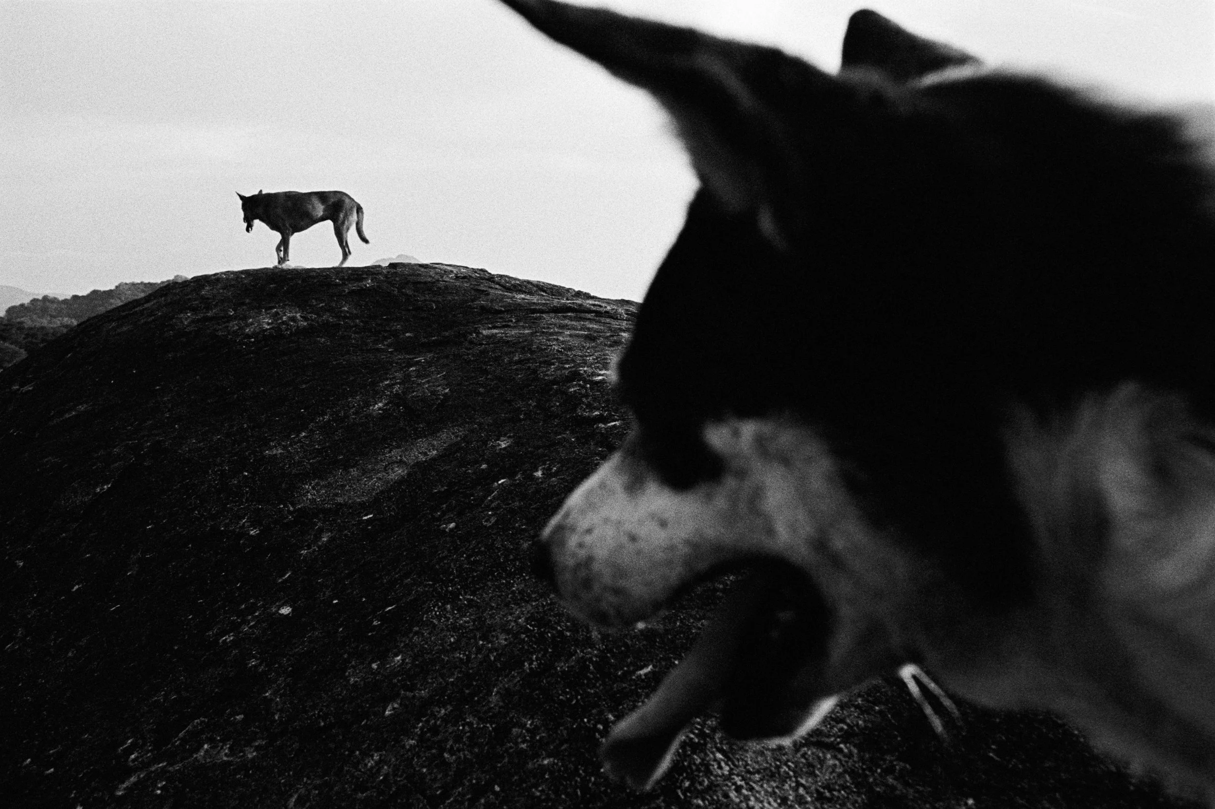 SriLanka TriX #1 (15).jpg