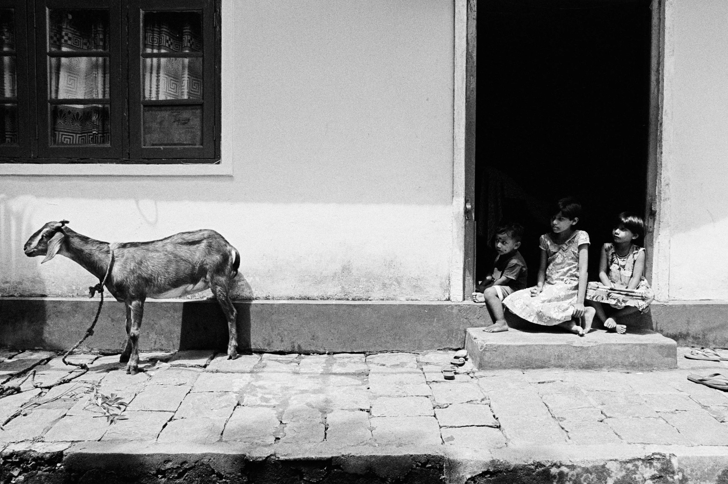 SriLanka TriX #3 (17).jpg