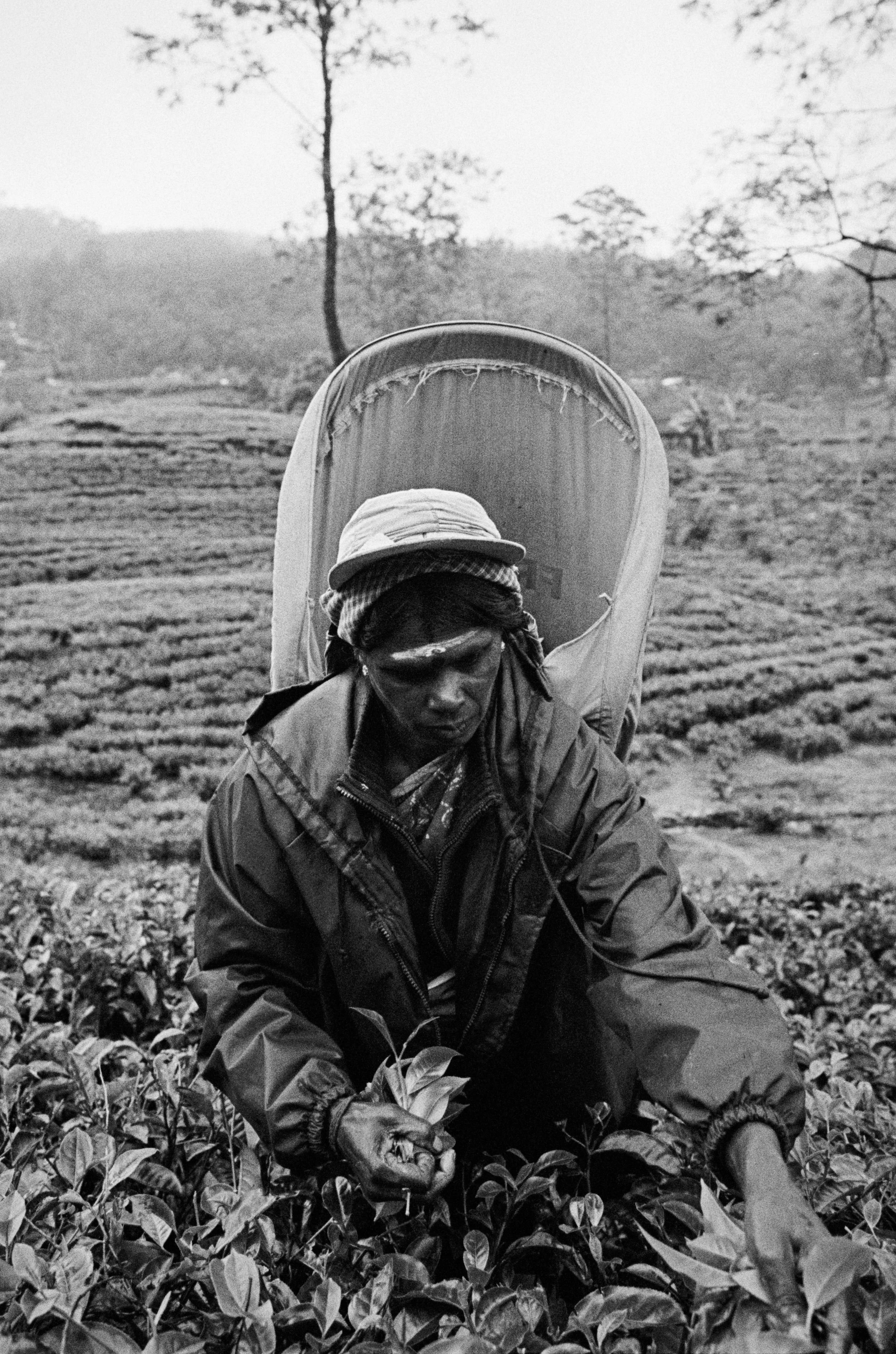 SriLanka TriX #5 (21)-3.jpg