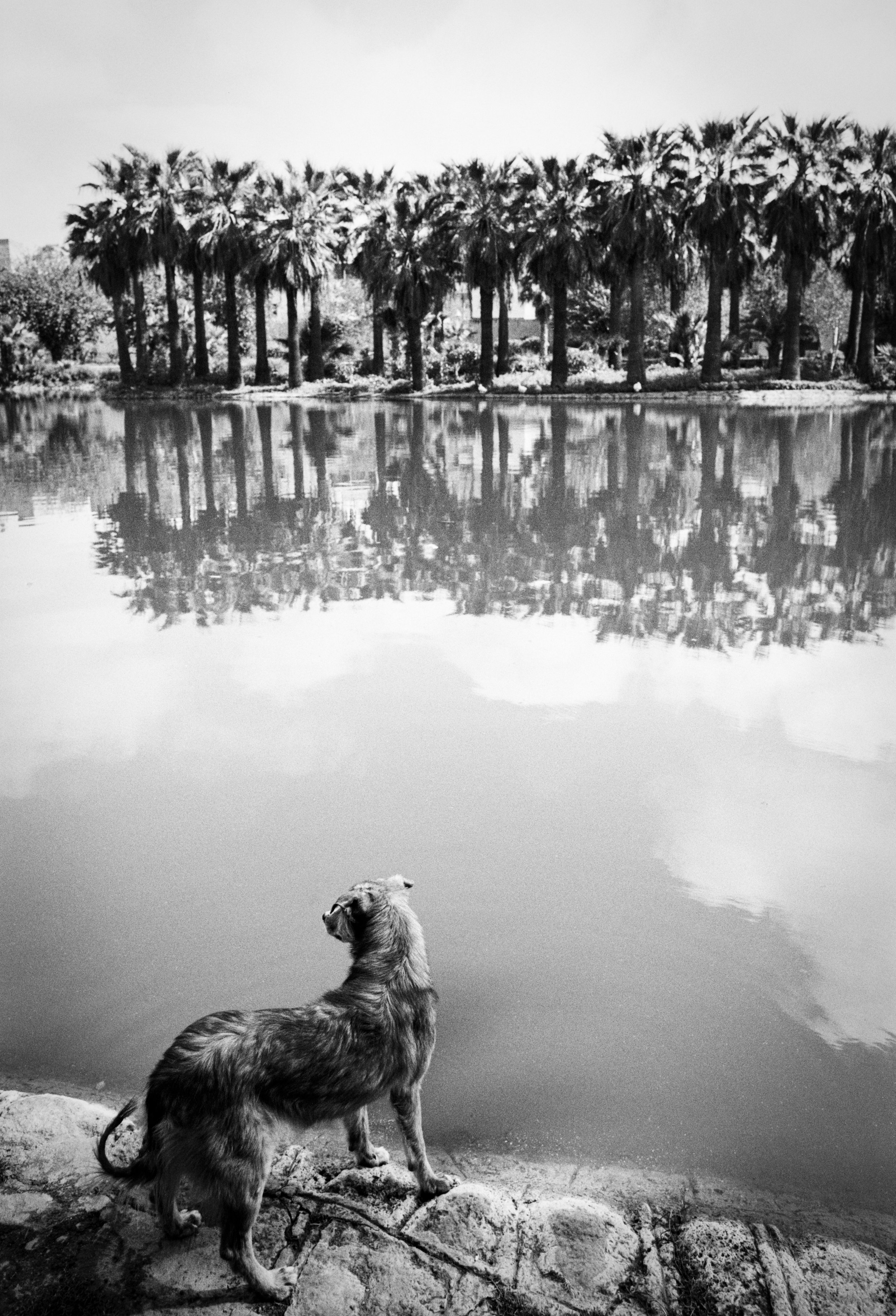 Delta 100 5 (11)-2 4.jpg