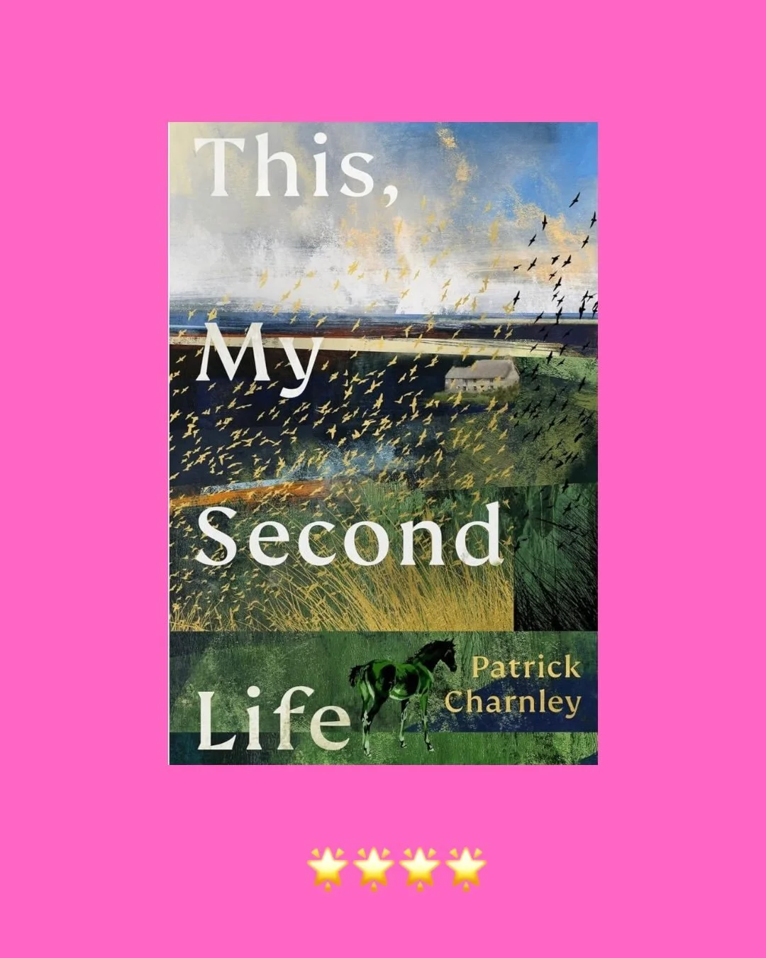 This,My Second Life - Patrick Charnley (ARC read - general fiction) 

The charming story of Jago, who lives in St Ives, near Cornwall with Jacob, his mum&rsquo;s older brother in a traditional farmhouse with not much electricity - there&rsquo;s oil l