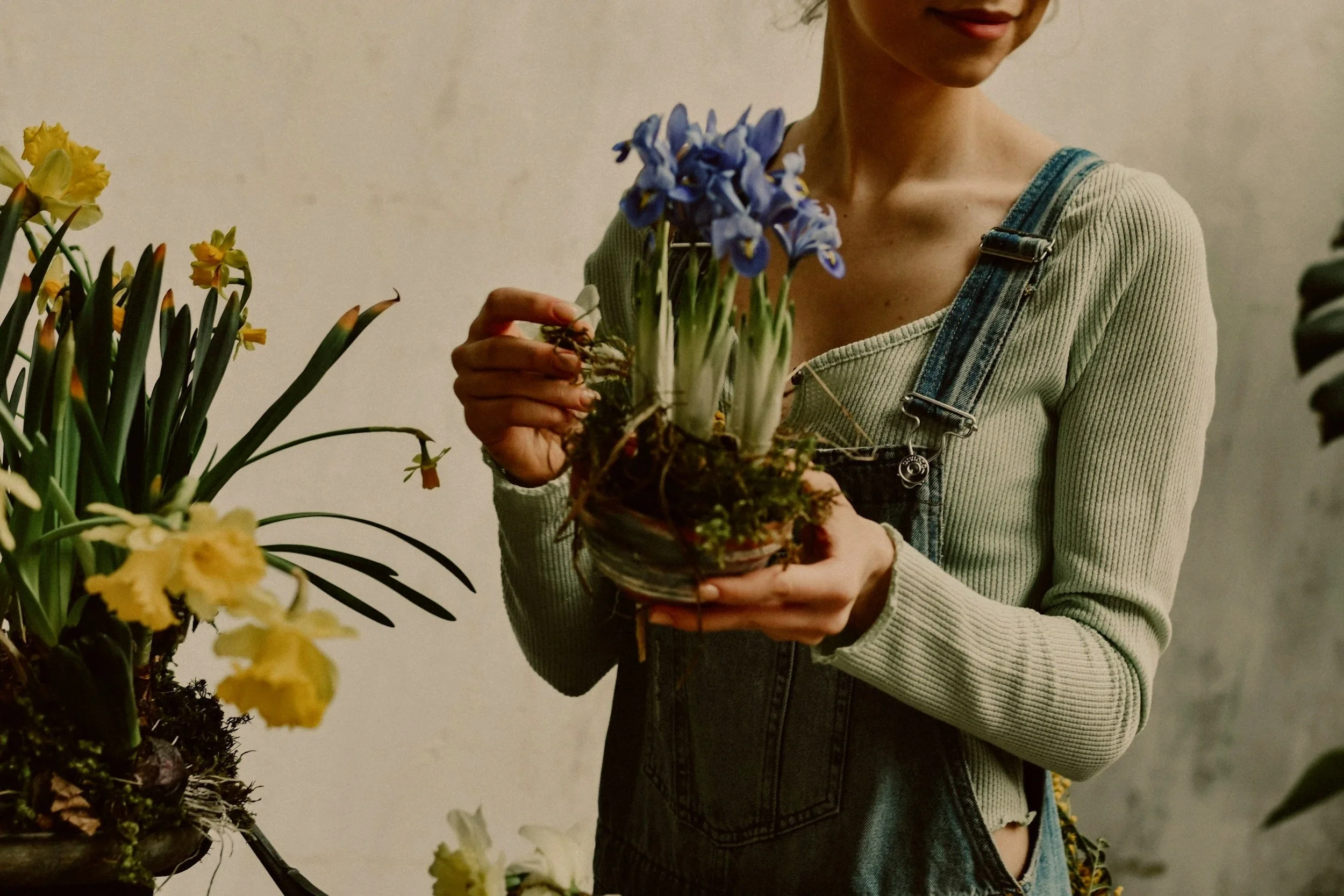 A woman holding a potted plant with purple flowers, wearing a beige sweater and denim overalls, standing near a yellow flowering plant.