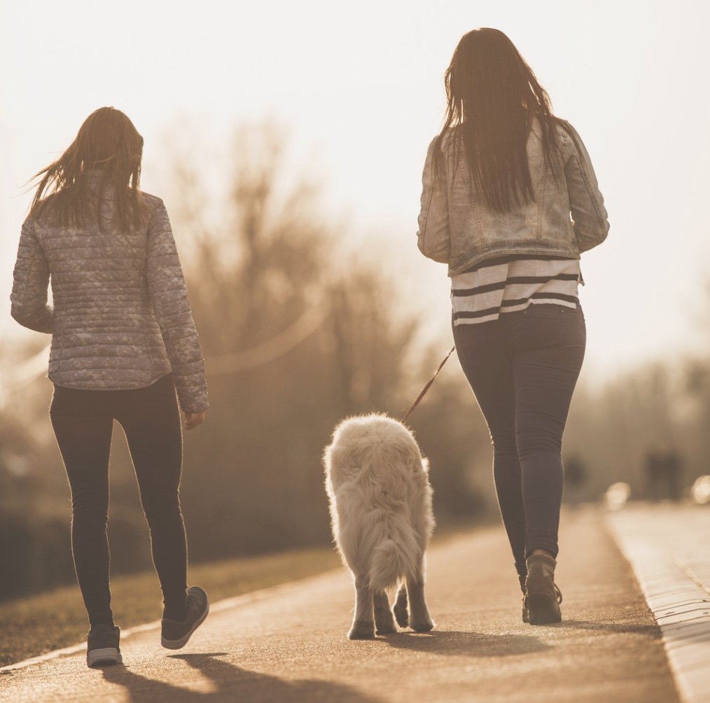 Social Detox vs. Ambulatory Detox in Utah: What’s the Difference?