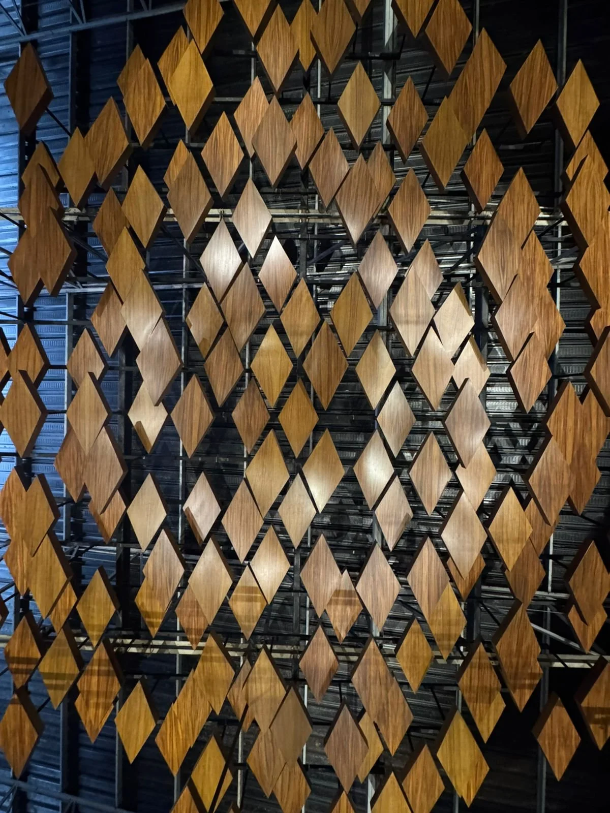 WhatsApp Image 2026-03-04 at 16.21.36.jpeg