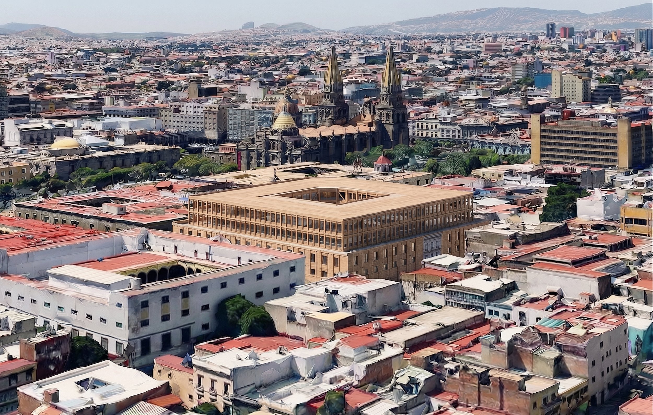 VISTA DE PAJARO 2.jpg