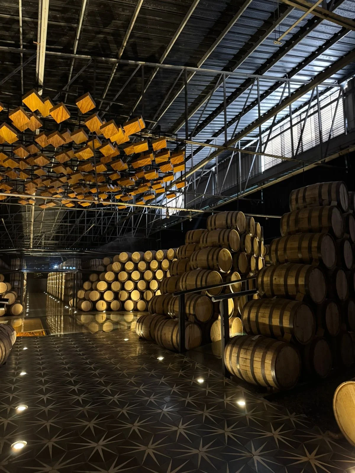 WhatsApp Image 2026-03-04 at 16.21.37.jpeg