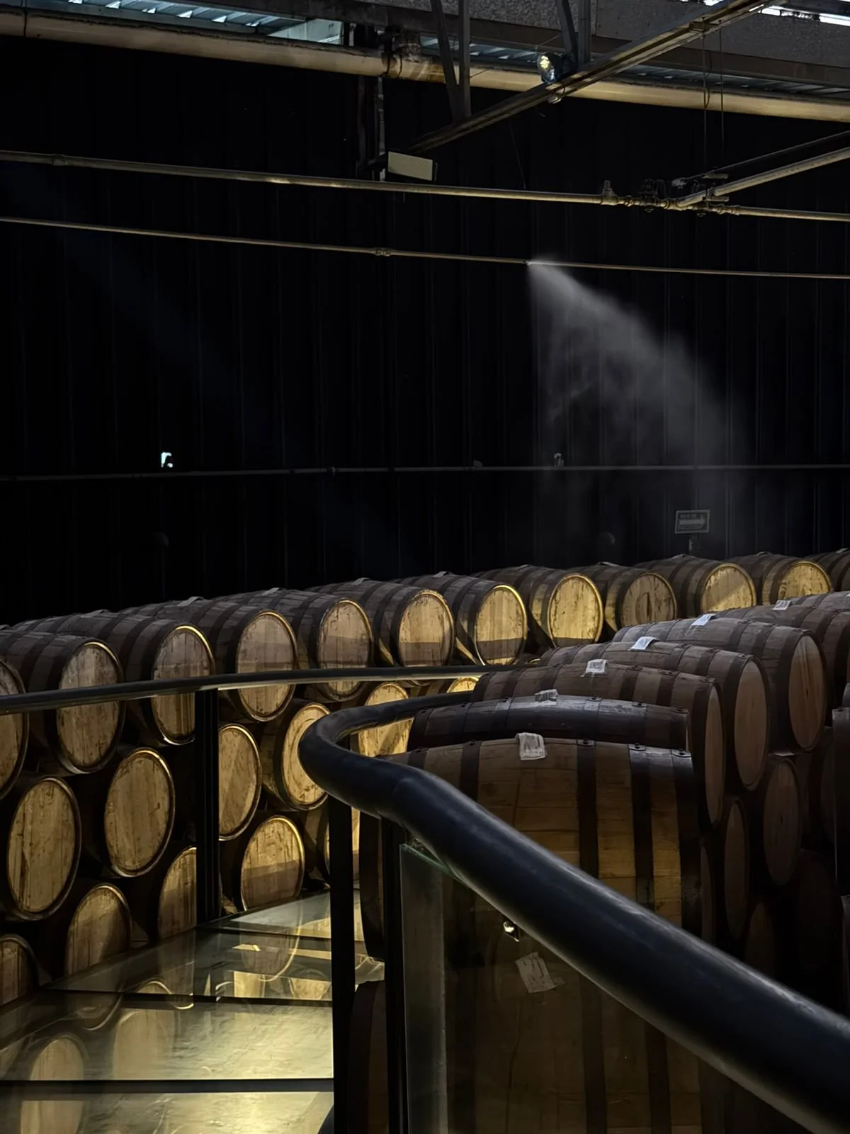 WhatsApp Image 2026-03-04 at 16.21.36 (4).jpeg