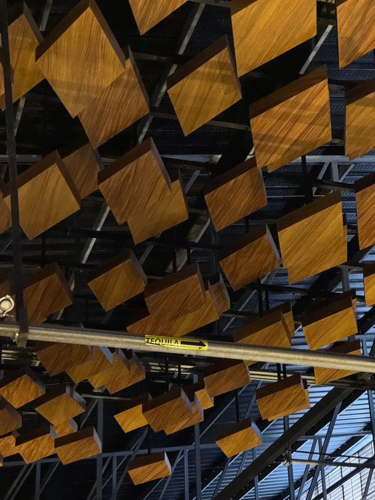 WhatsApp Image 2026-03-04 at 16.21.35.jpeg