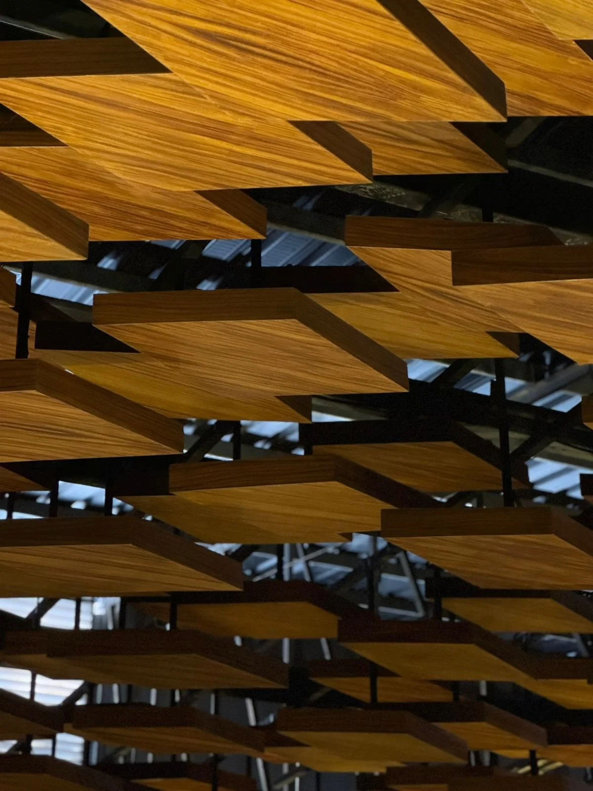 WhatsApp Image 2026-03-04 at 16.21.35 (3).jpeg