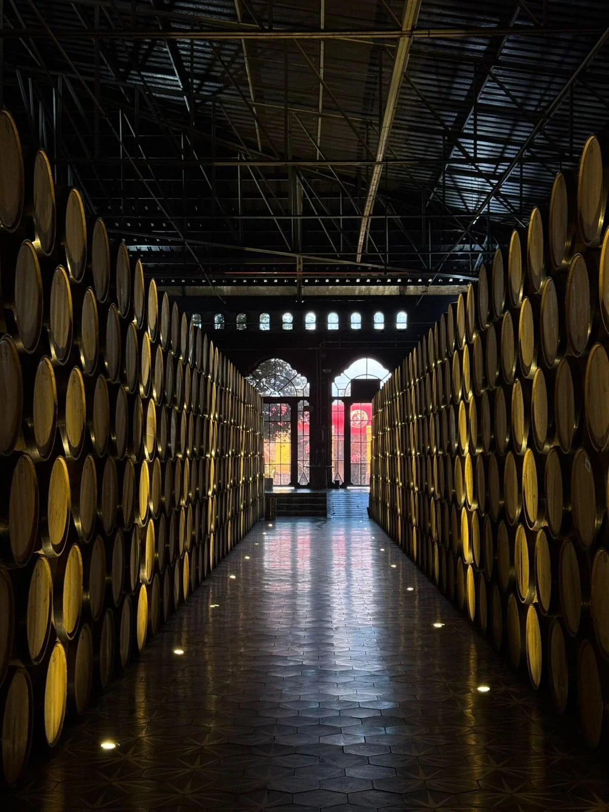 WhatsApp Image 2026-03-04 at 16.21.37 (2).jpeg