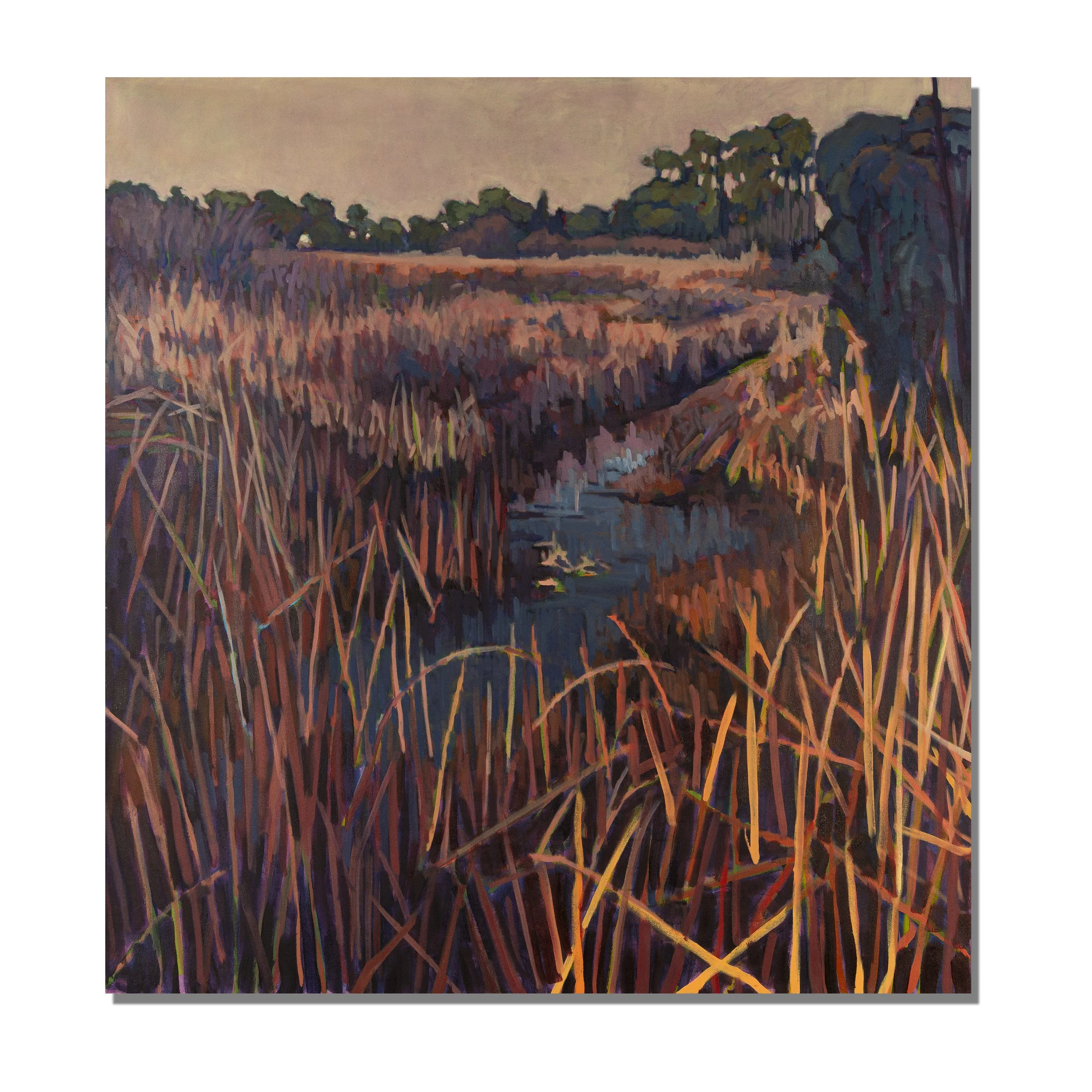 Warm Waterway 1