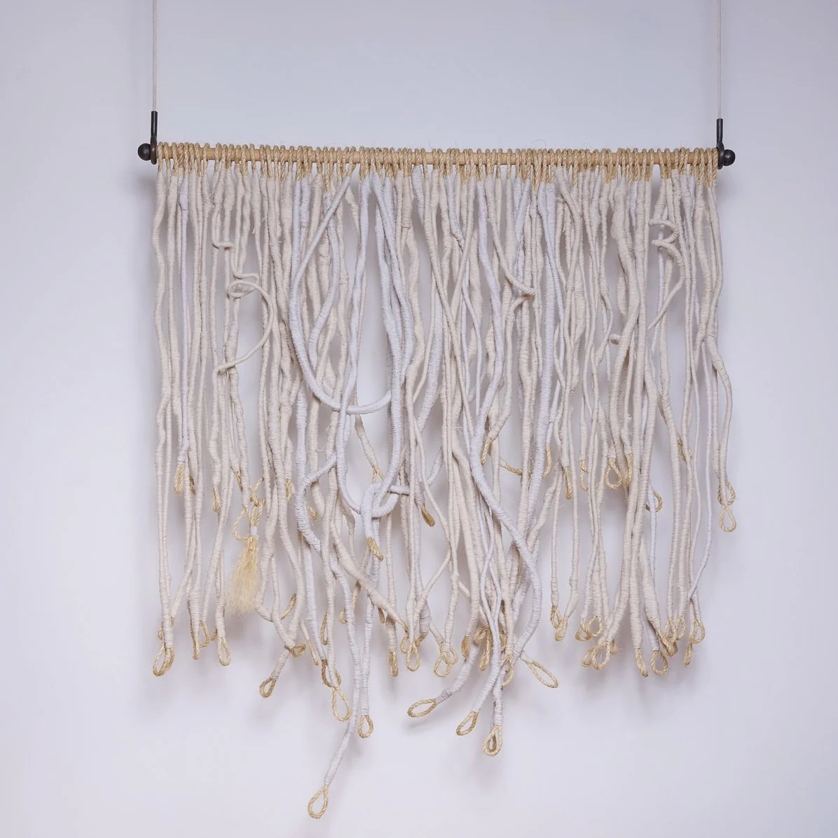 The Echo Vase