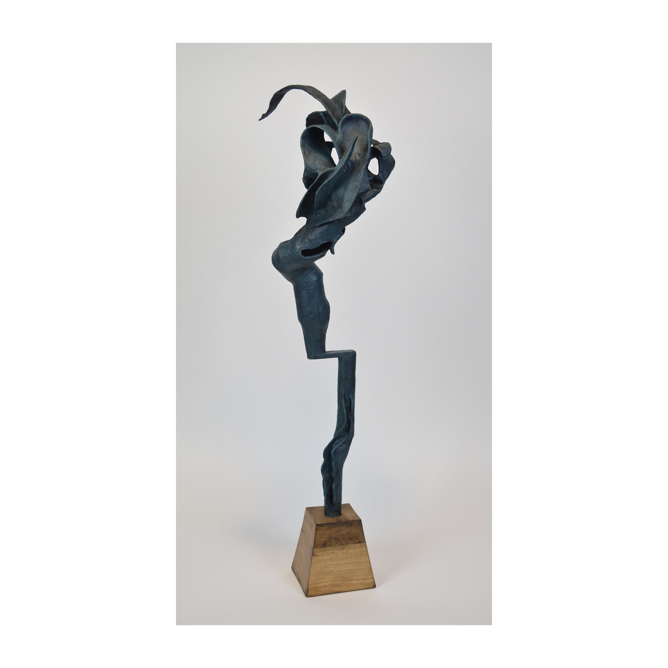 Chambers_Flora Dexterra (view b).jpg