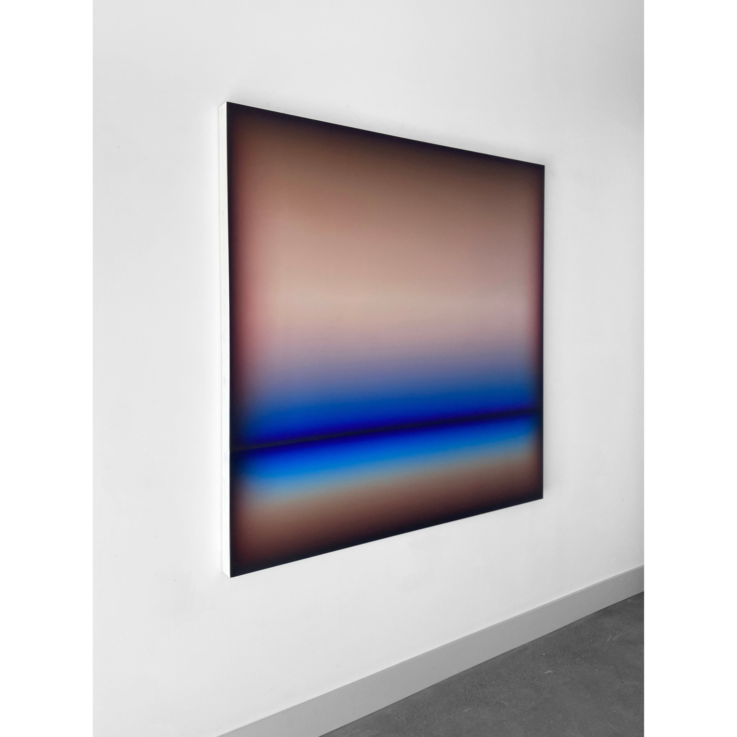 Patrick_DeAngelis_Nighthawk, side copy.jpg