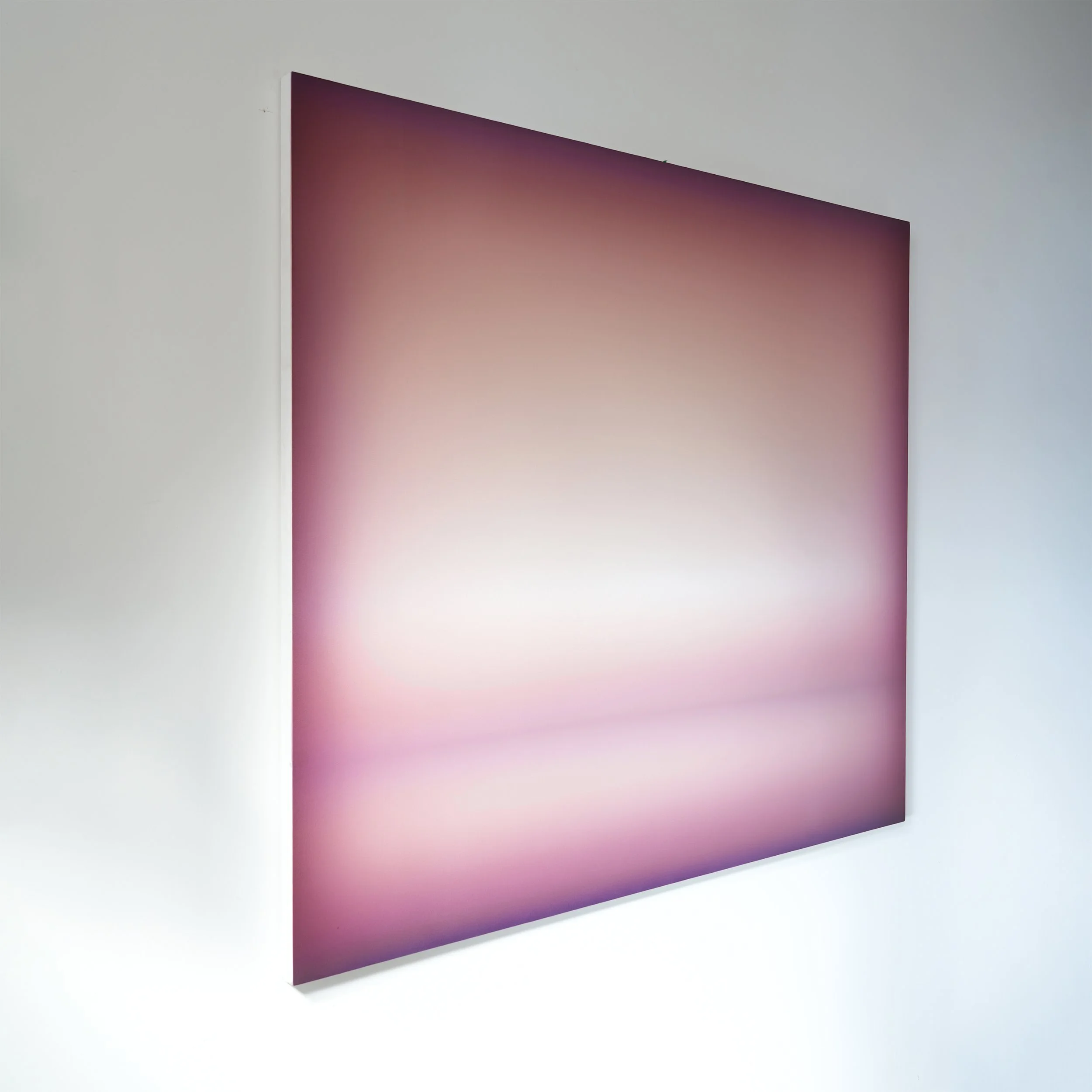 DeAngelis_The 101 in Rose_2.jpg