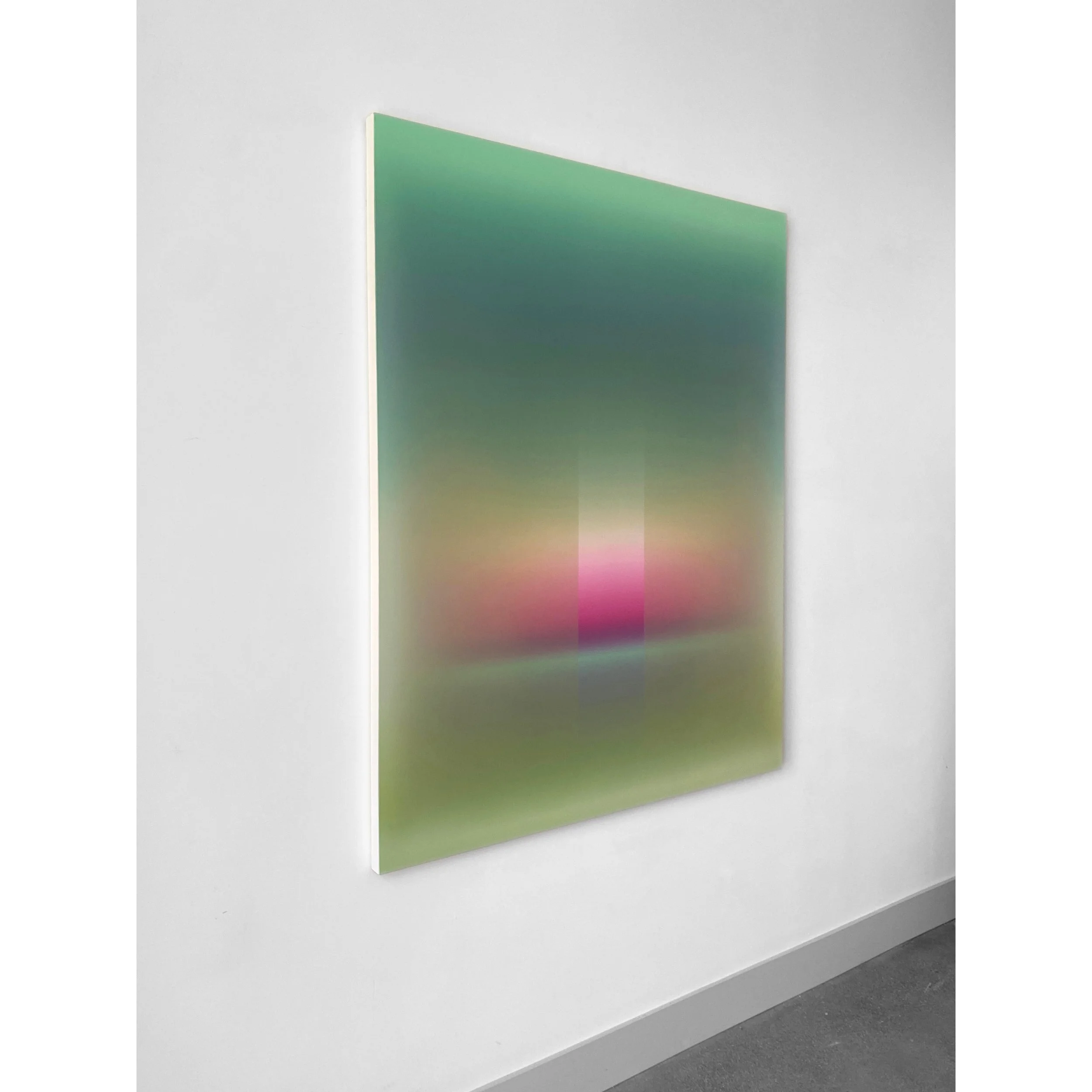 Patrick_DeAnglelis_Veil Cactus Bloom, side copy.jpg