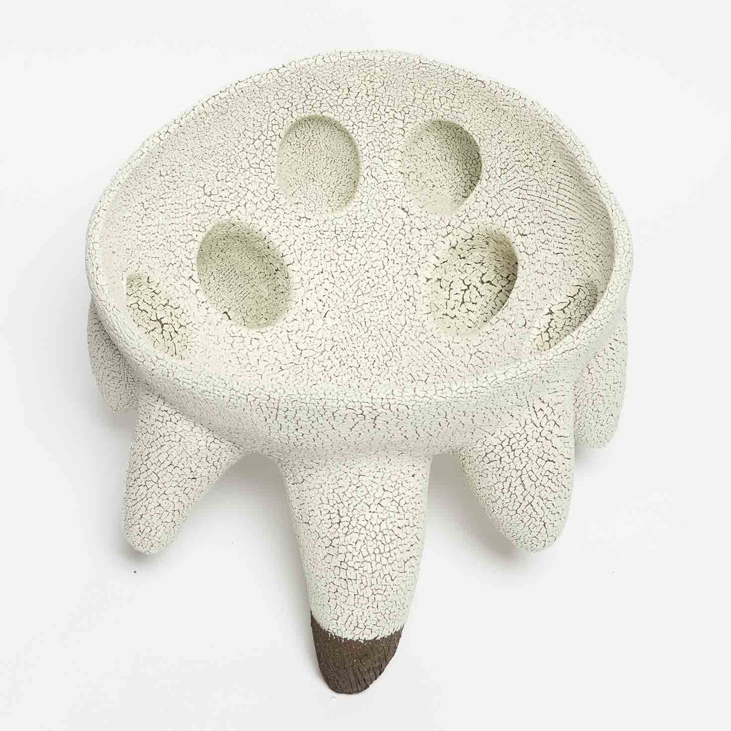 Root_Vessel_No_10_C.jpg