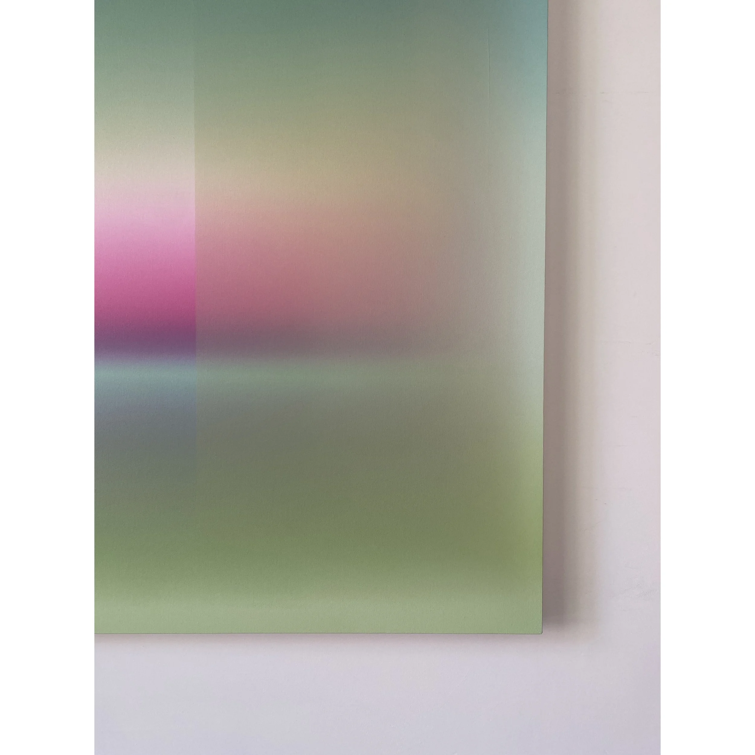 Patrick_DeAngelis_Veil Cactus_DET2.jpg