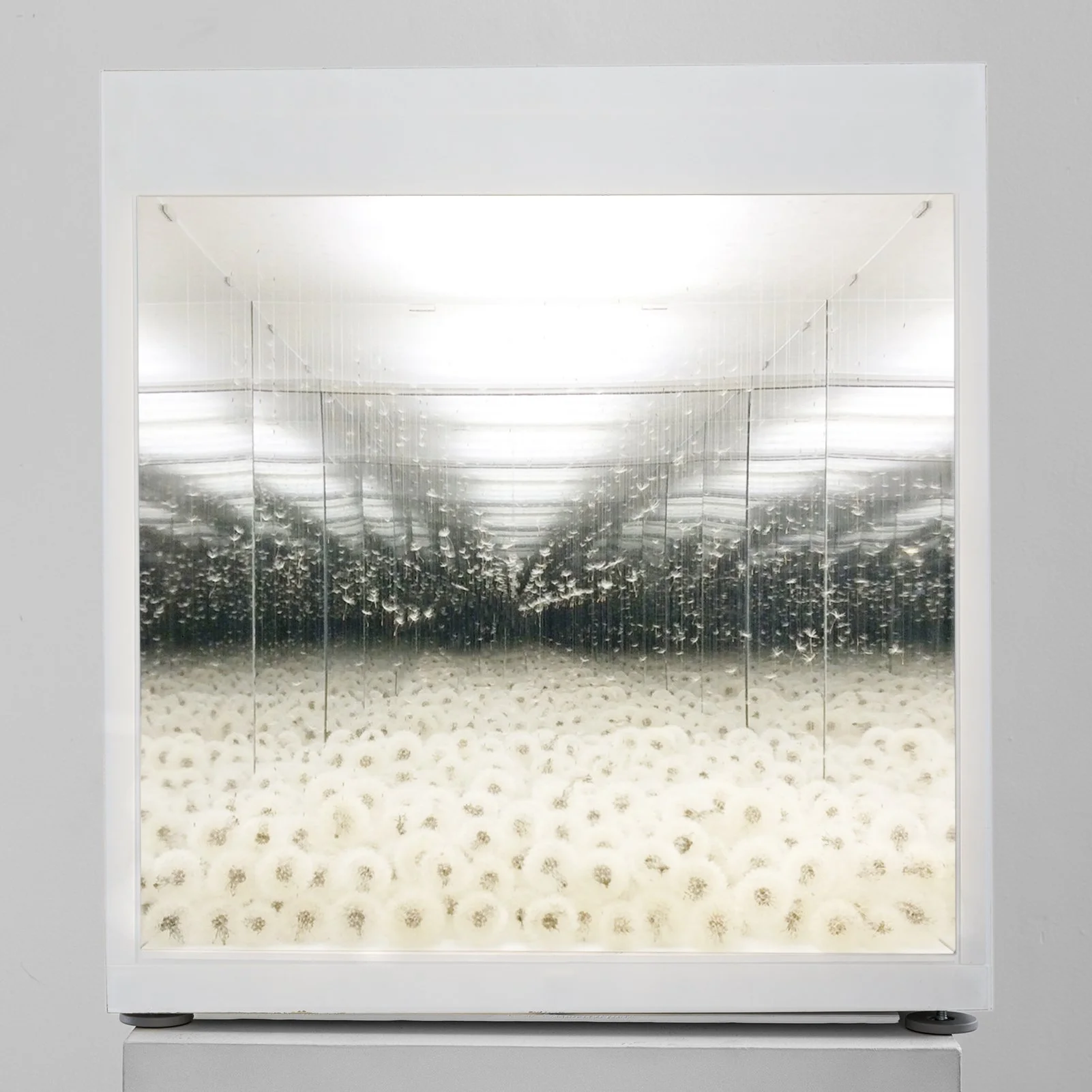 I Think, I Dream, I Am