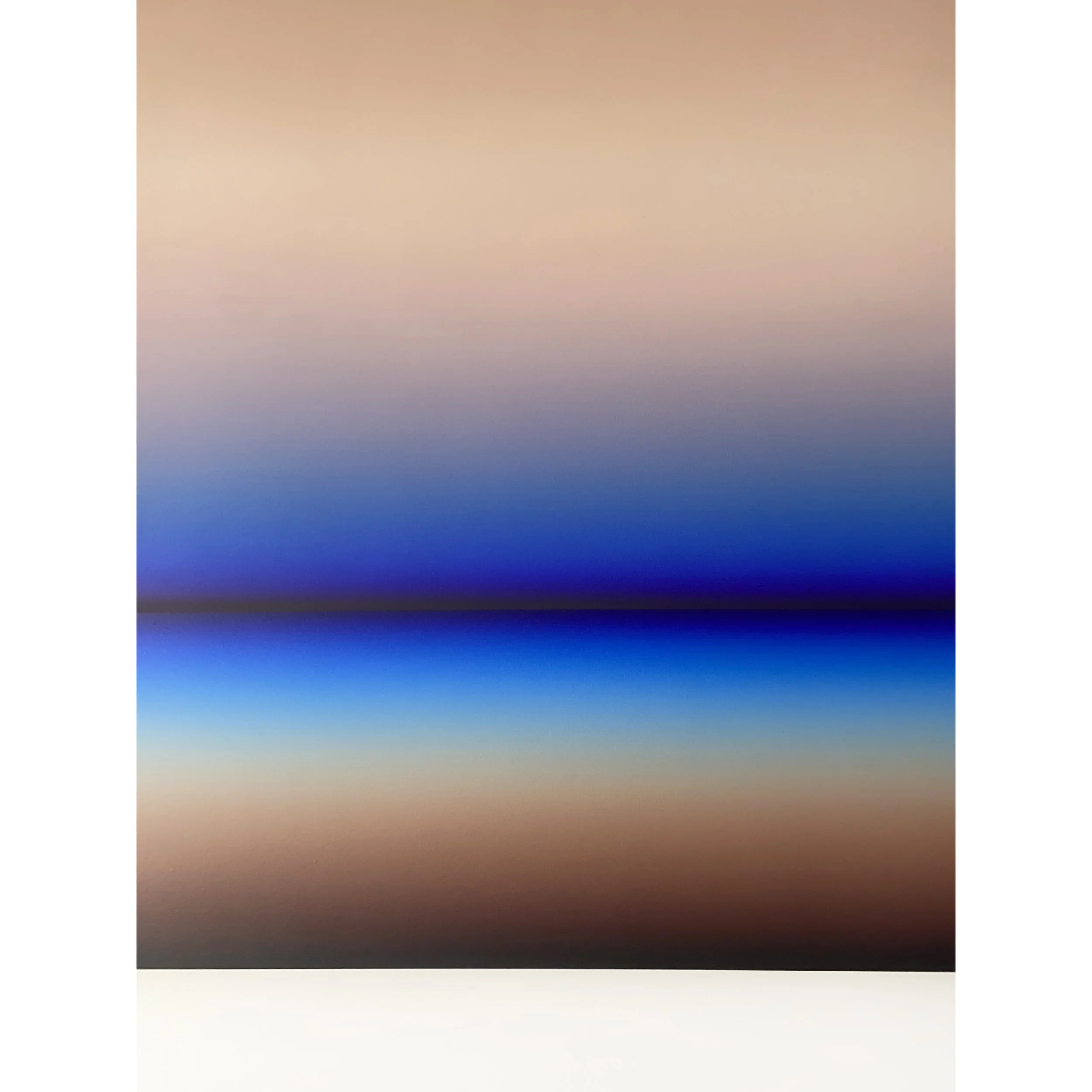 Patrick_DeAngelis_Nighthawk, det2.jpg