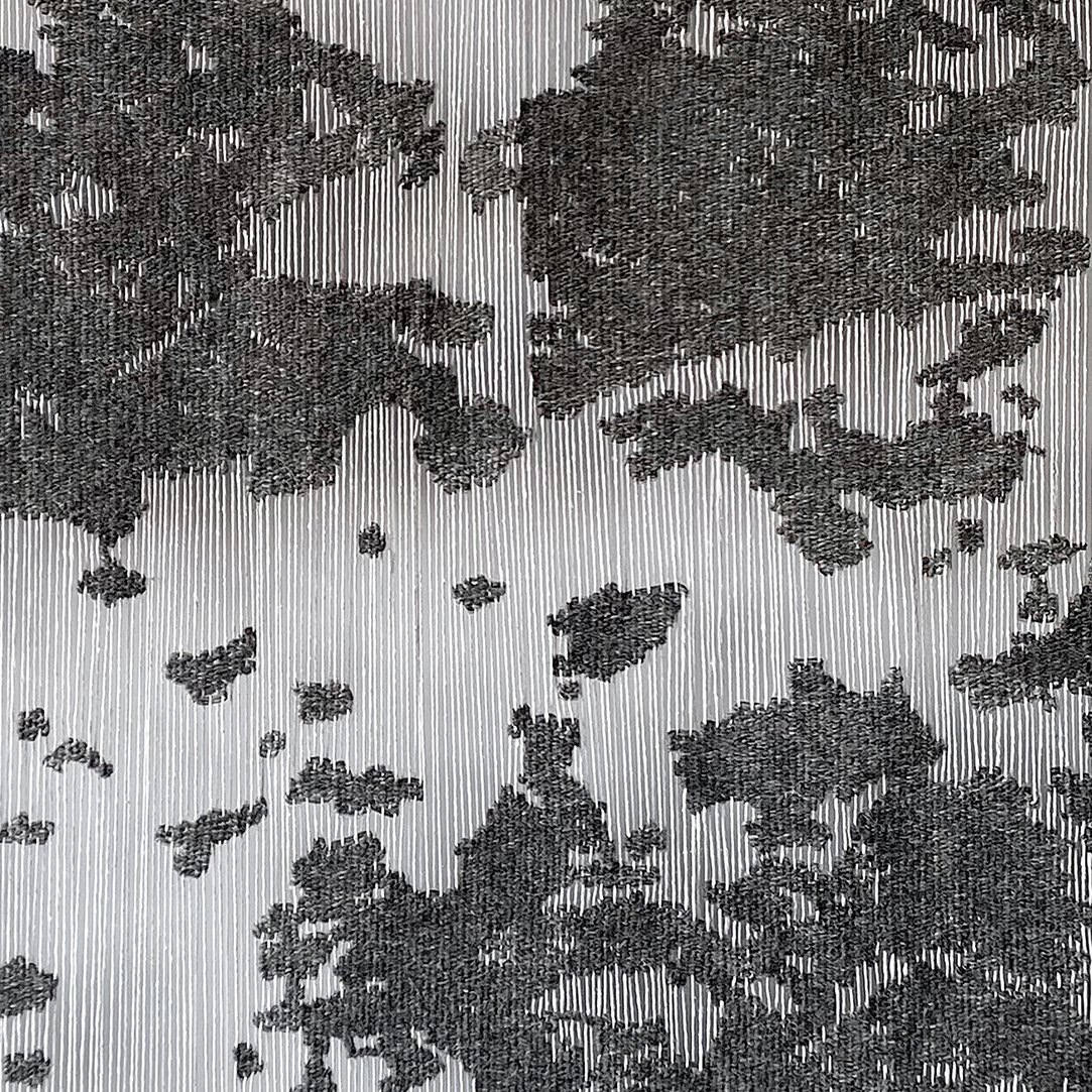 Ziejka Marzena-Faculties of Defragmented Memories copy.jpg