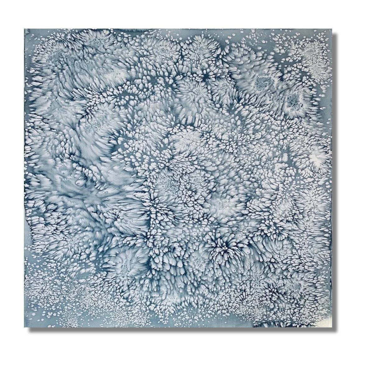 Allisoon_Svoboda_FullmoonPaintings#5 45"x45".jpg