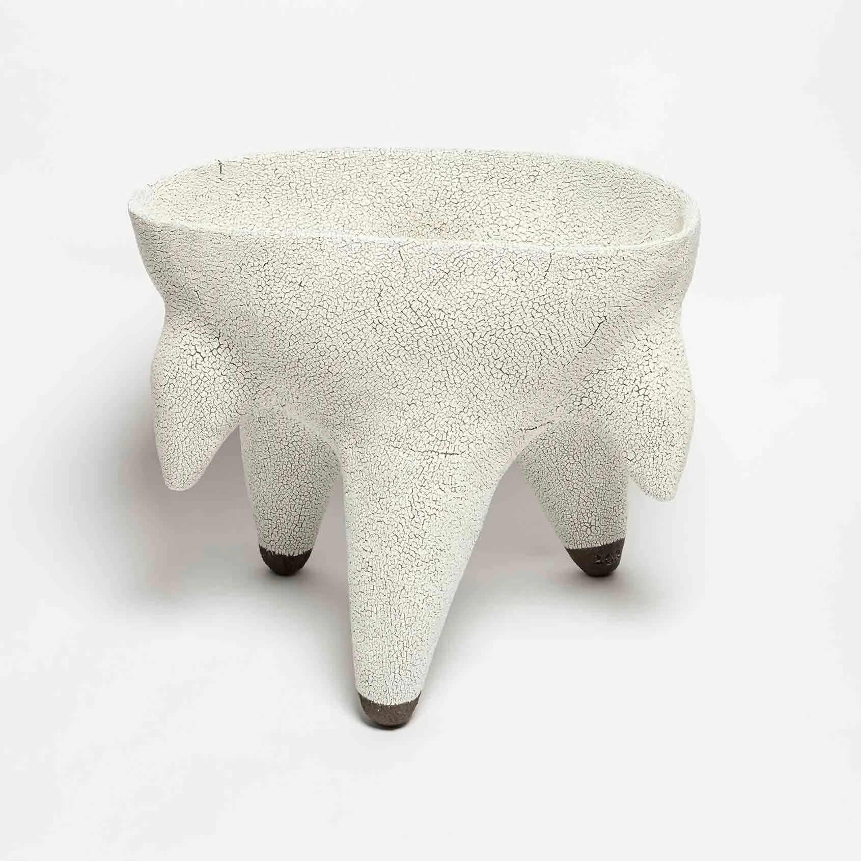 Root_Vessel_No_06_B.jpg