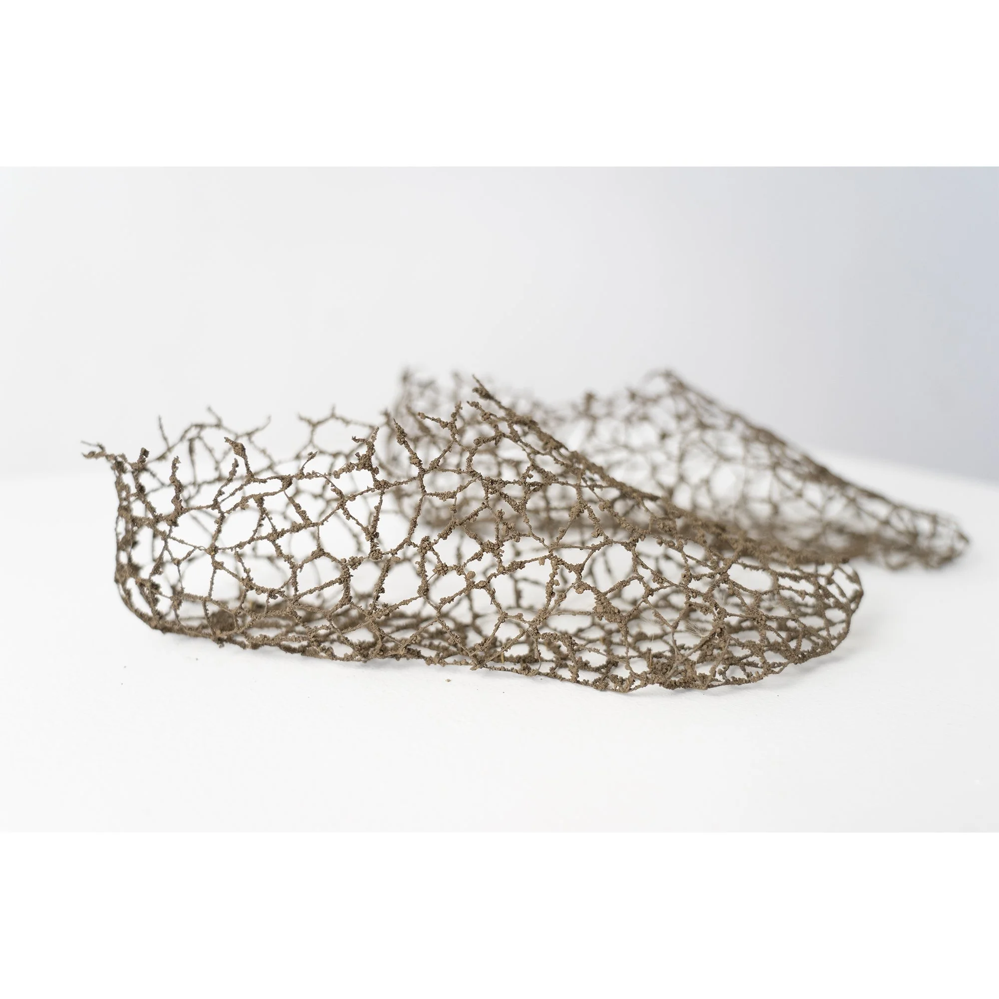 Marzena Ziejka_Once I Was in Your Shoes_3 .jpg