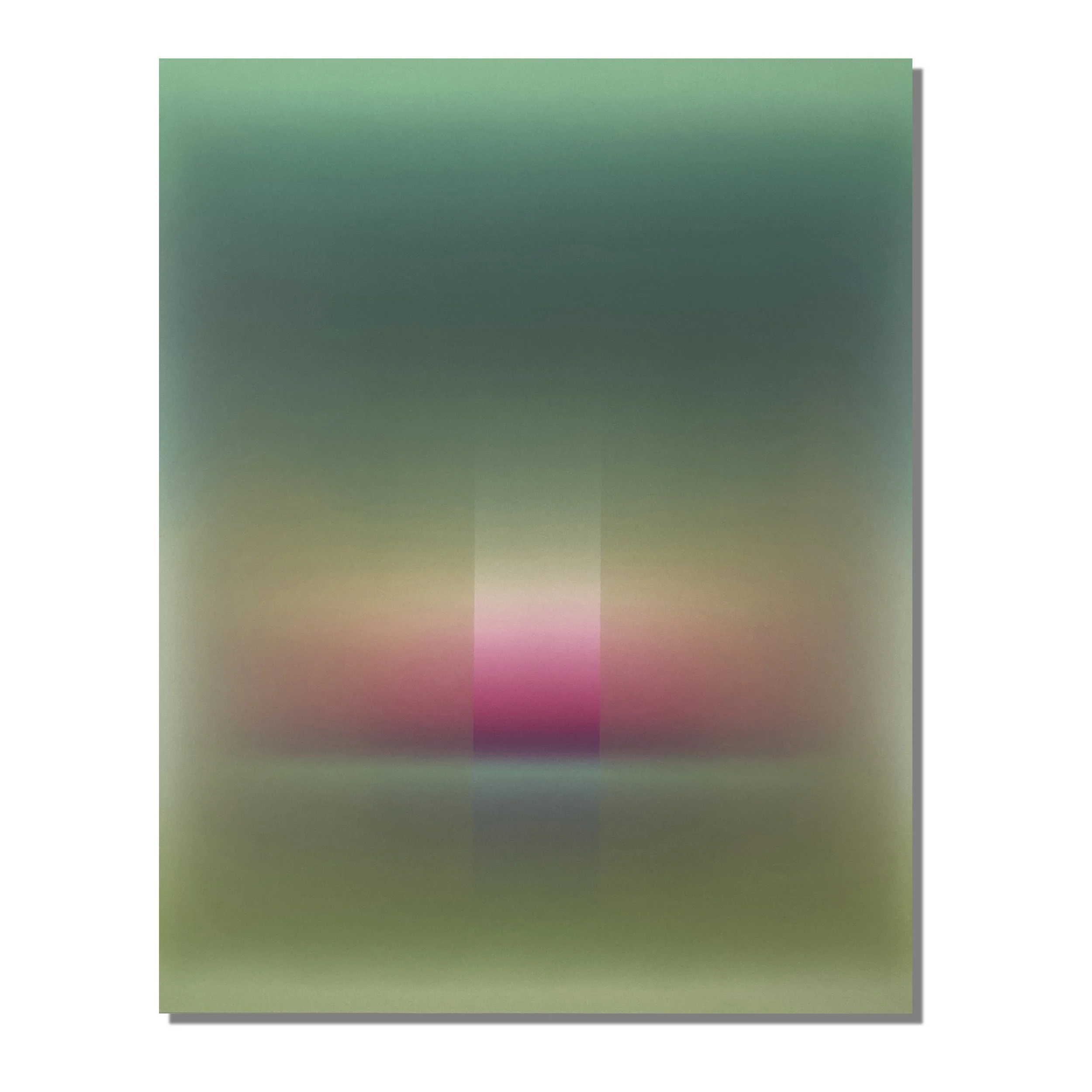 Patrick_DeAngelis_Veil Cactus Bloom, 60x48_2025 copy.jpg