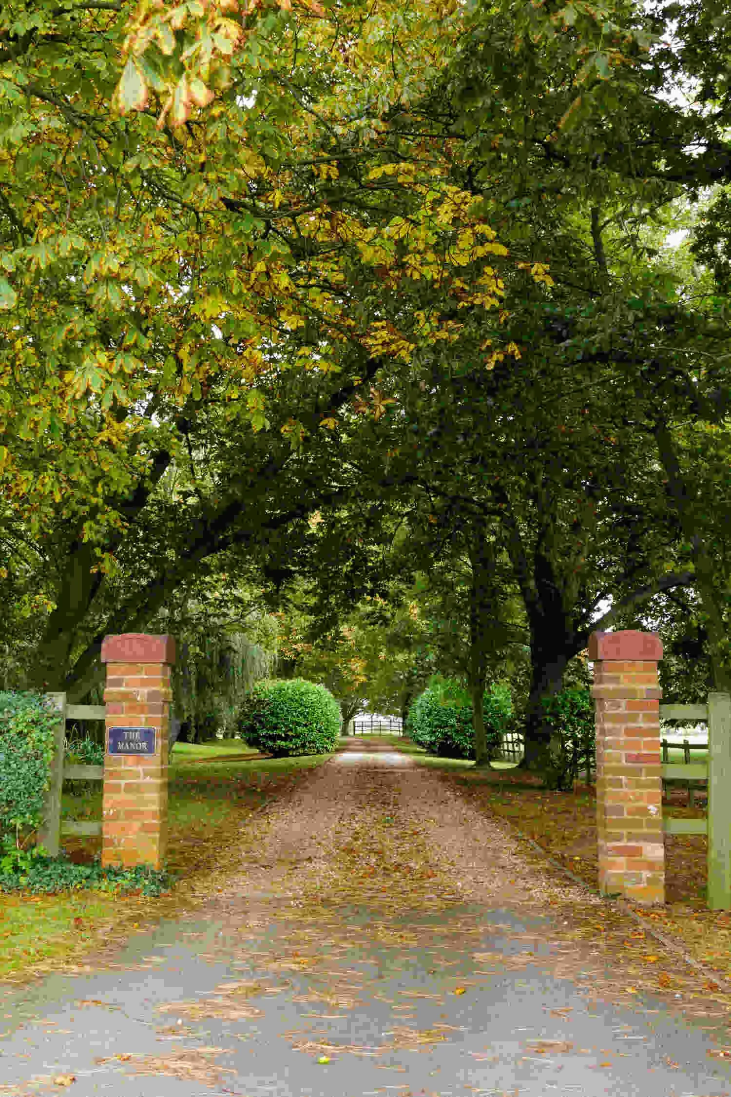 Driveway-with-trees-in-autumn-colours-Thurleigh-Bedfordshire.jpg