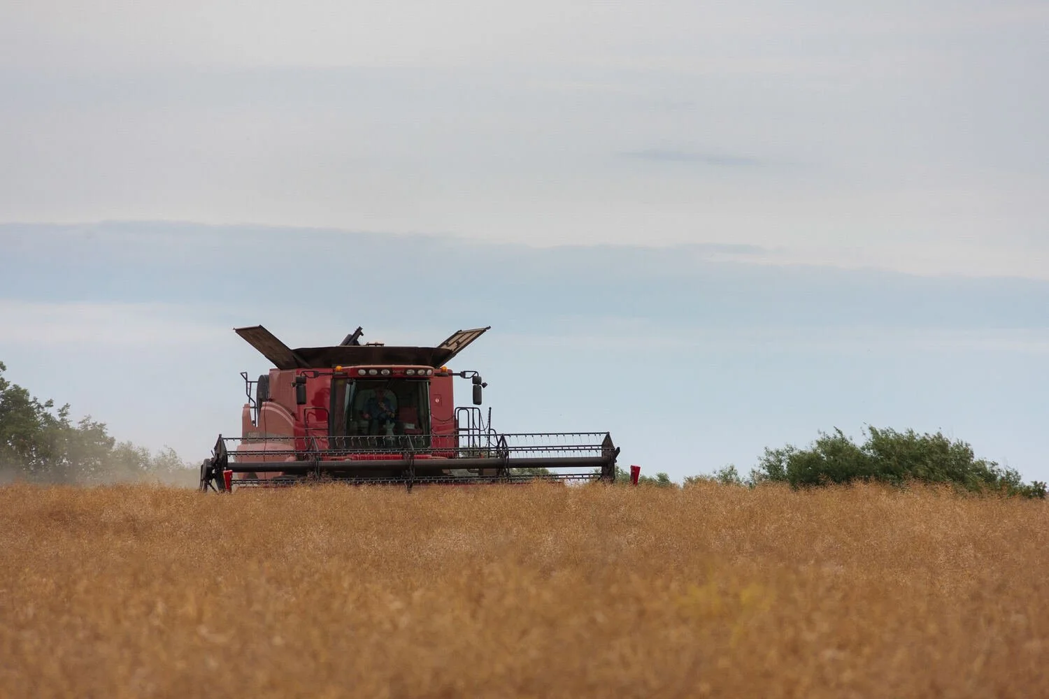 Red Case combine Harvester 7120 axial flow-British Farming
