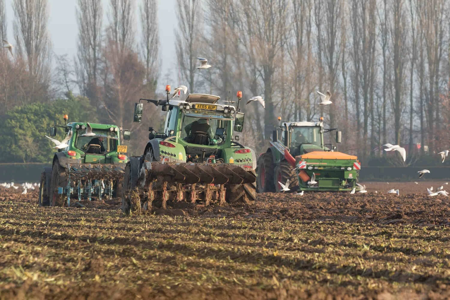Fendt, 724, Vario tractor and two other tractors working a Wisbech Cambridgeshire field.