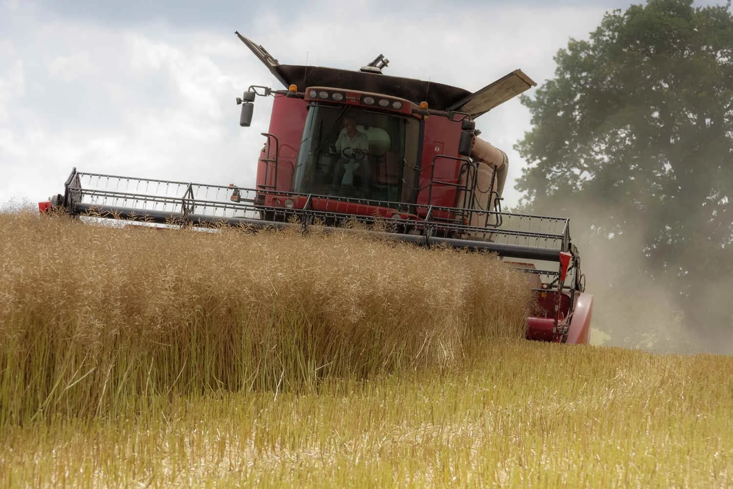 Case Combine Harvester 7120 axial flow British Farming agriculture.