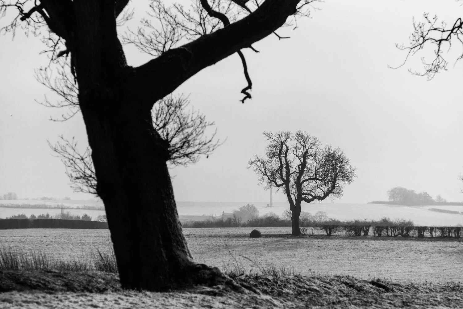 snow-8.jpg