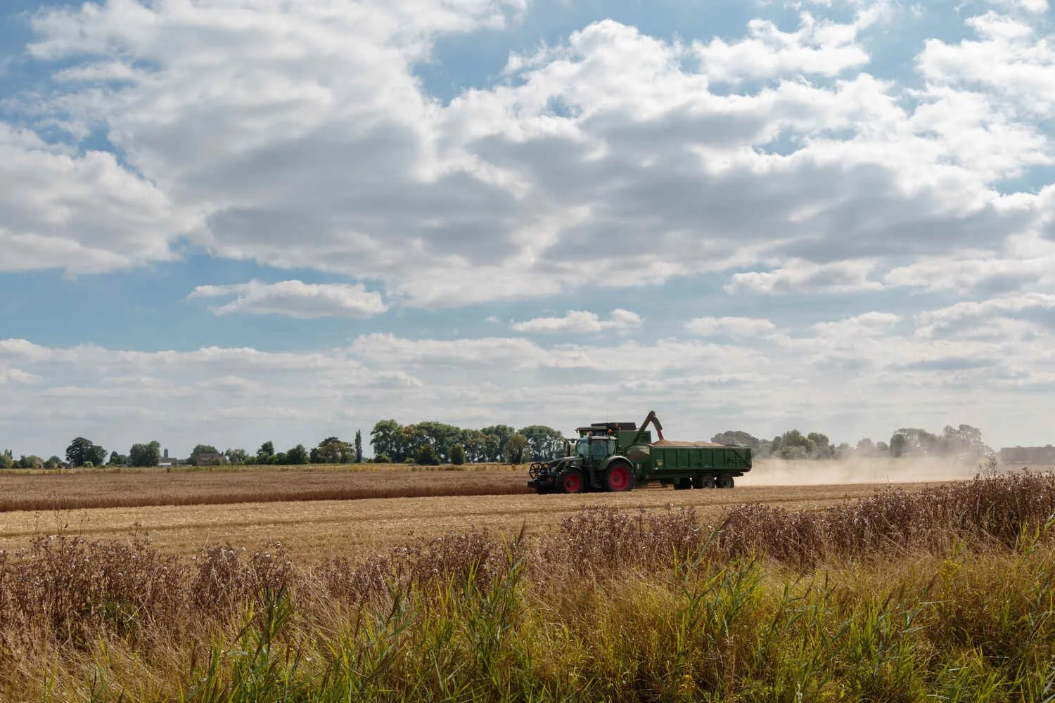 Fendt, 724, Vario in harvest time fenland countryside