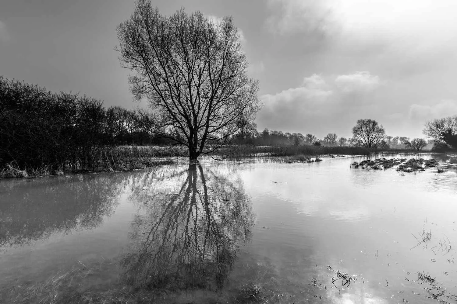 Felmersham-landscape-Bedfordshire-river-ouse-at-flood-flooded-fields.jpg