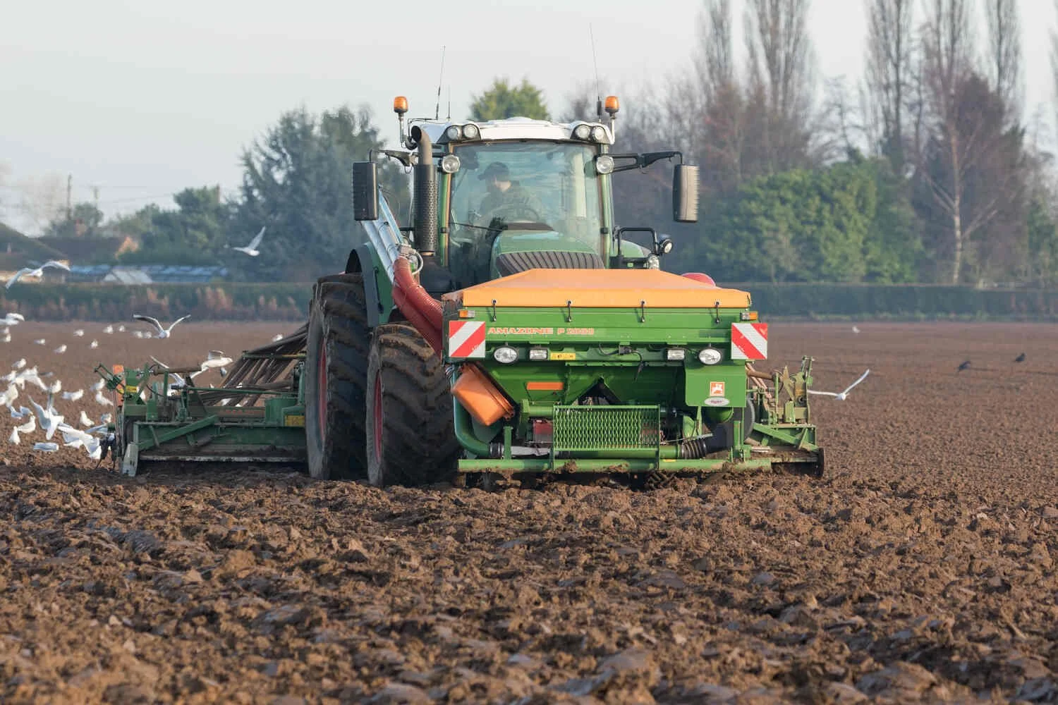 Fendt, 724, Vario tractor drilling with a Amazone P2000.