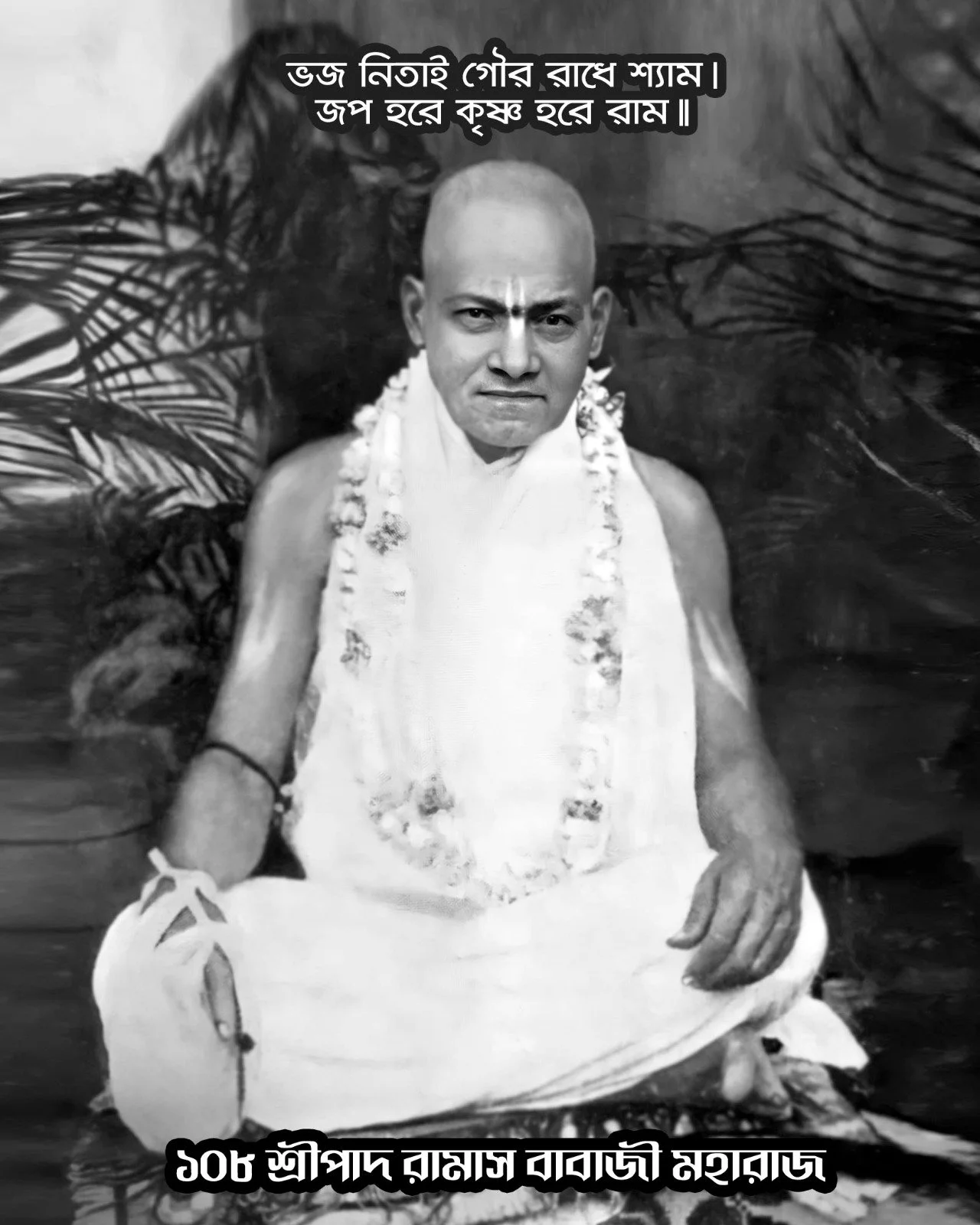 WhatsApp Image 2024-12-07 at 9.32.32 PM 3.jpeg