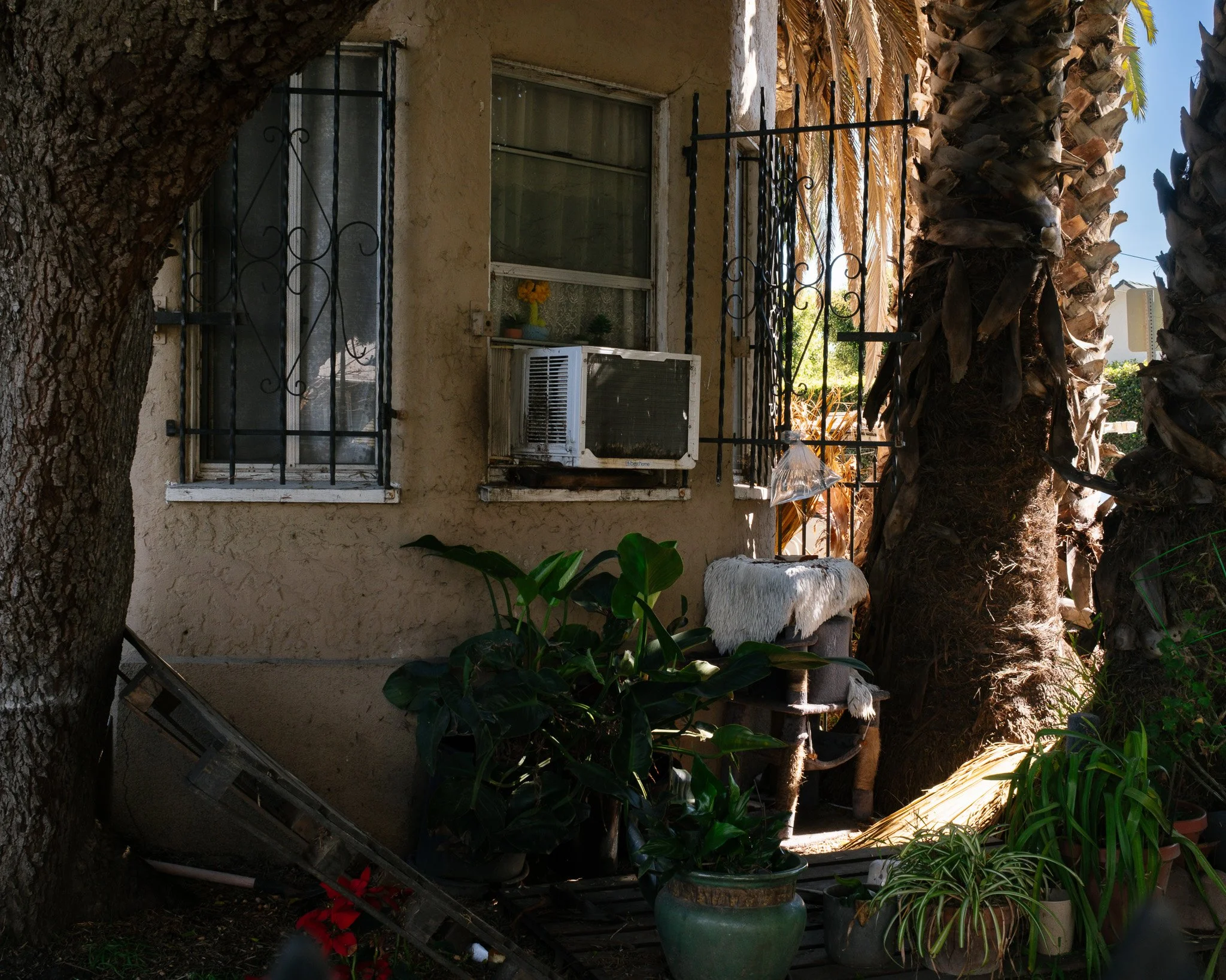 DSCF2150-2.jpg