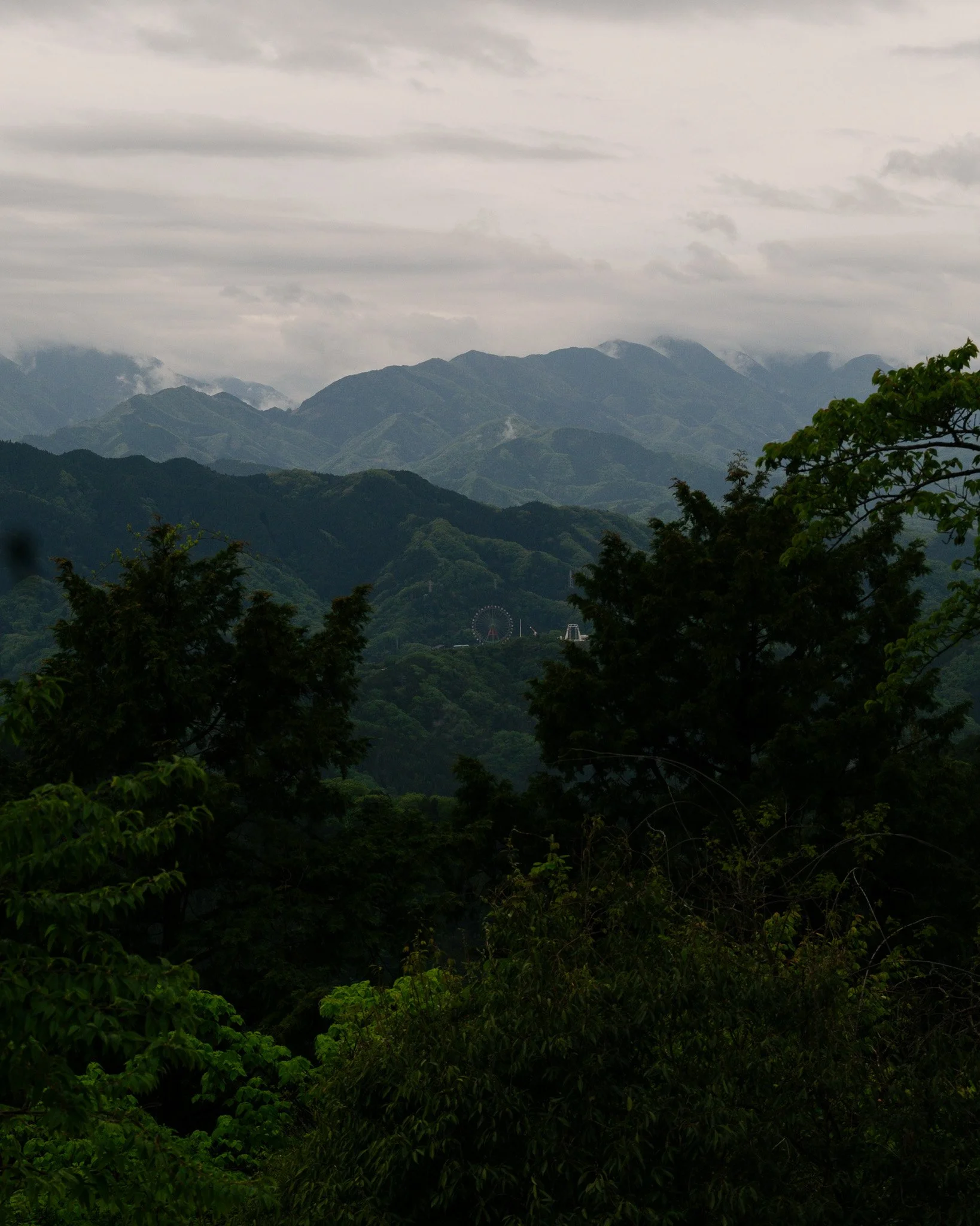 DSCF2147.jpg