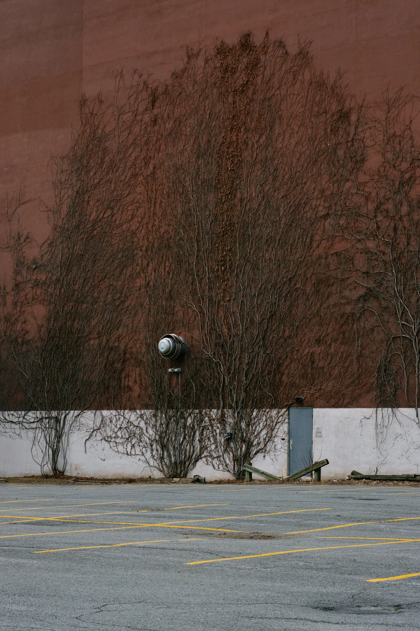 DSCF9775.jpg